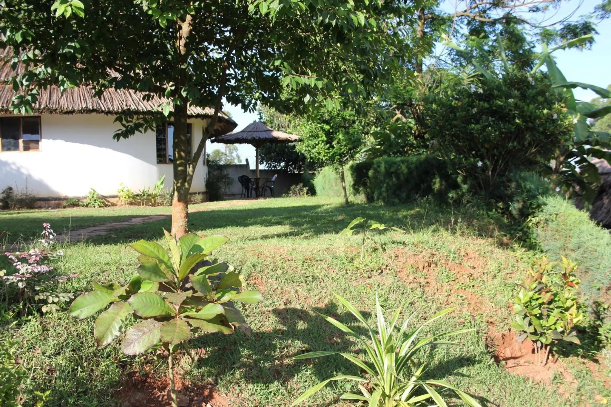 Garden in Banda Lodge