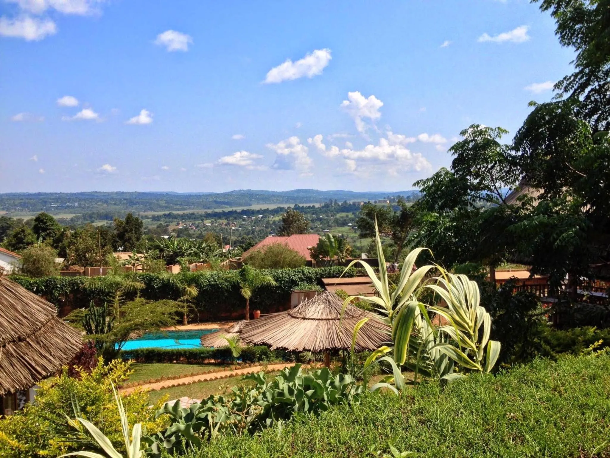 Garden in Banda Lodge
