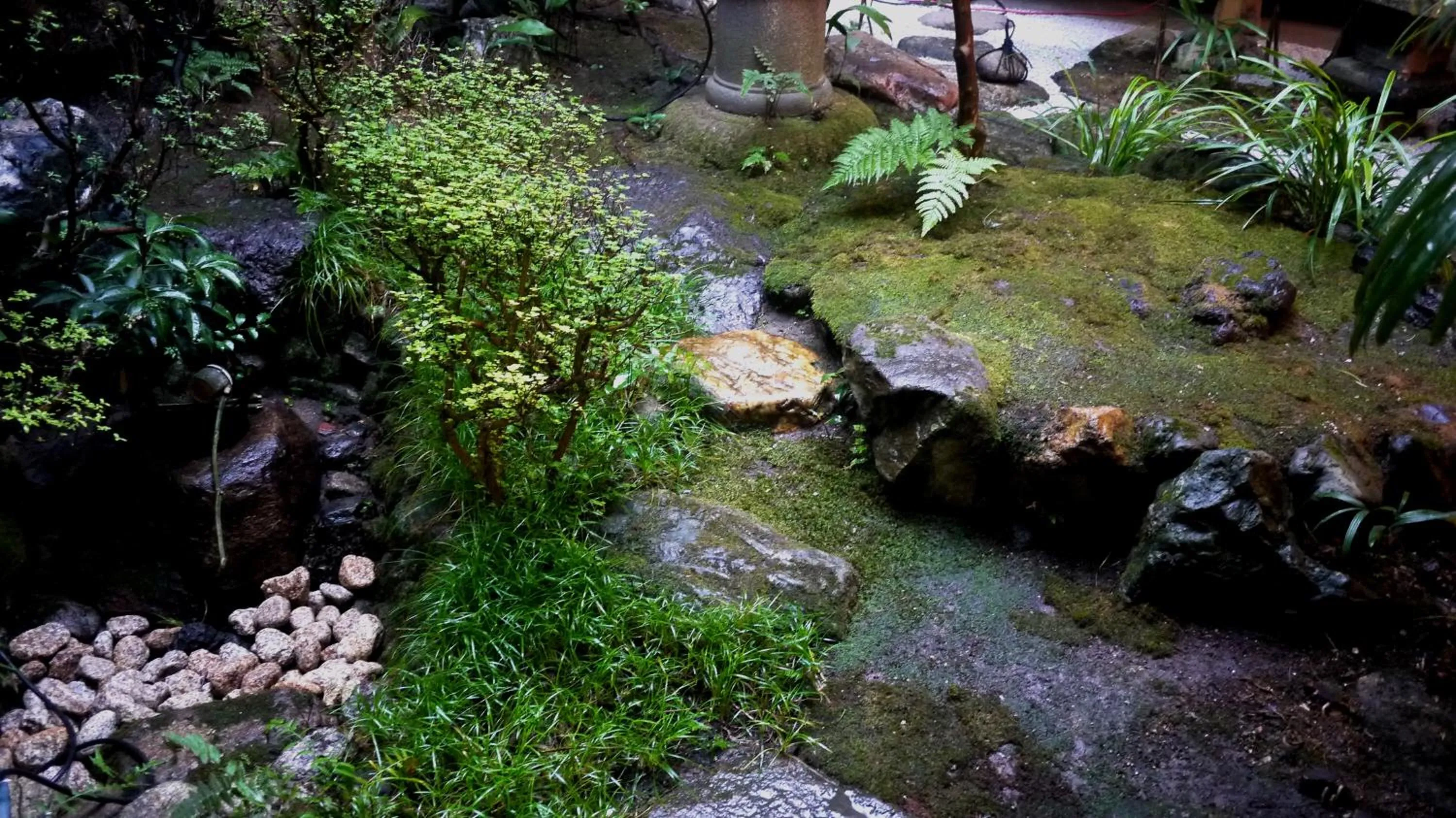 Garden in IZUYASU Traditional Kyoto Inn serving Kyoto cuisine