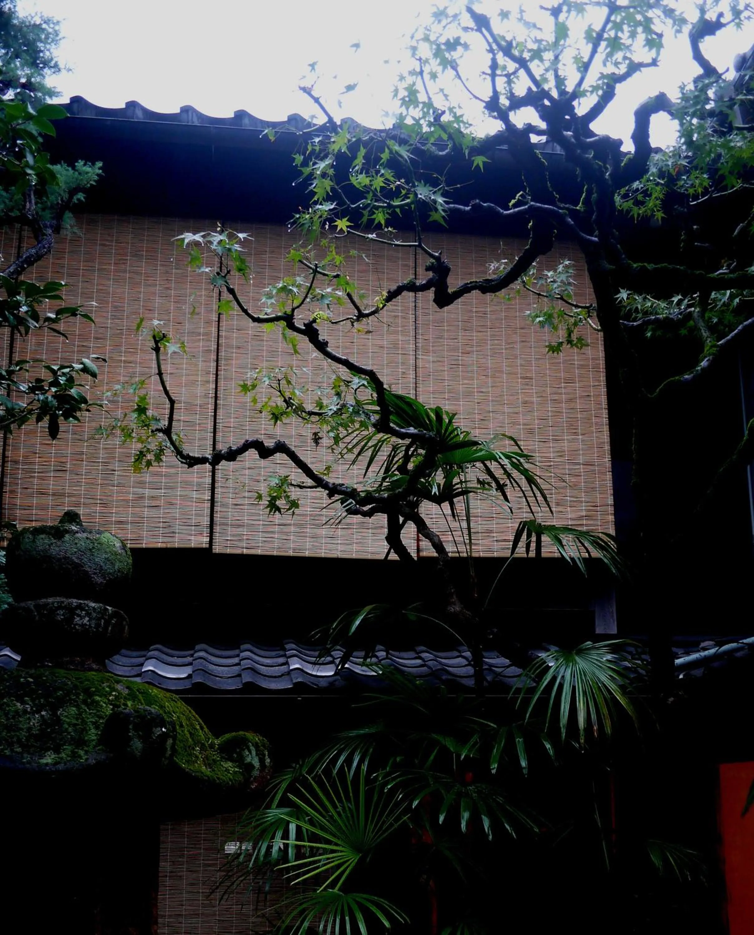 Garden in IZUYASU Traditional Kyoto Inn serving Kyoto cuisine