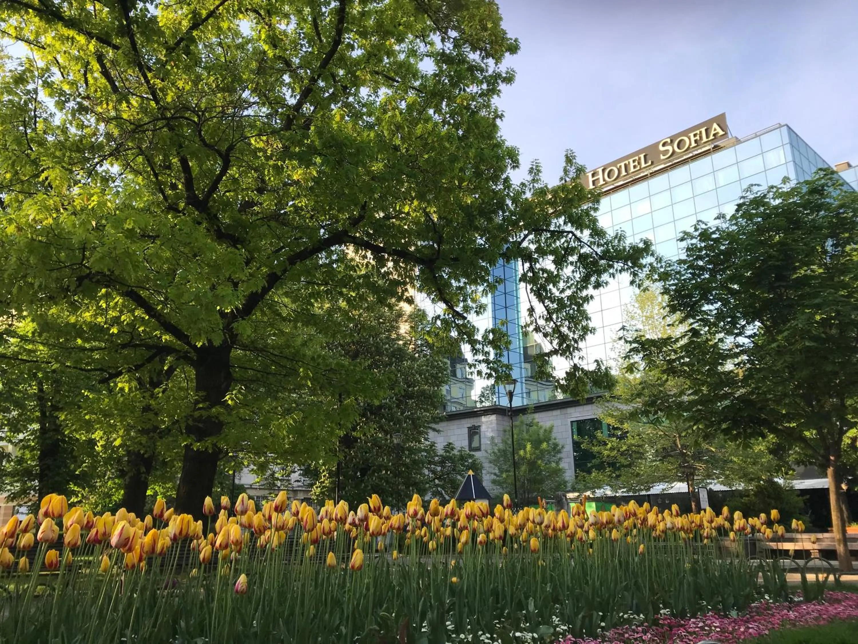 Spring in Grand Hotel Sofia