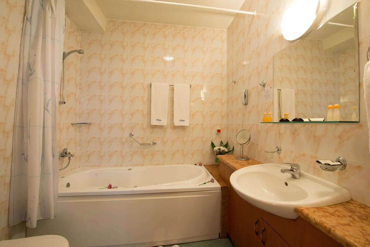 Shower in Sveta Sofia Hotel