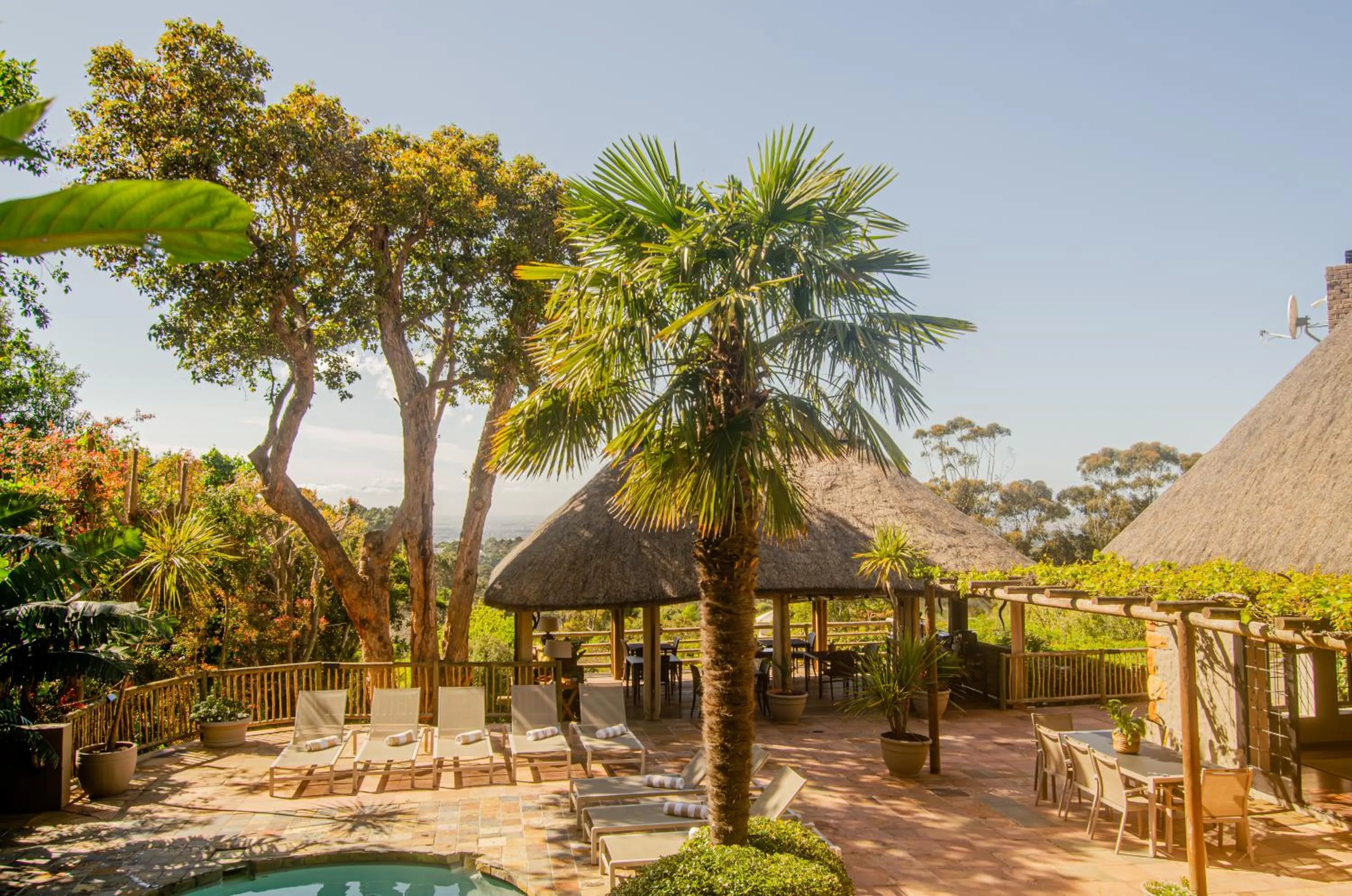 Natural landscape in Ikhaya Safari Lodge