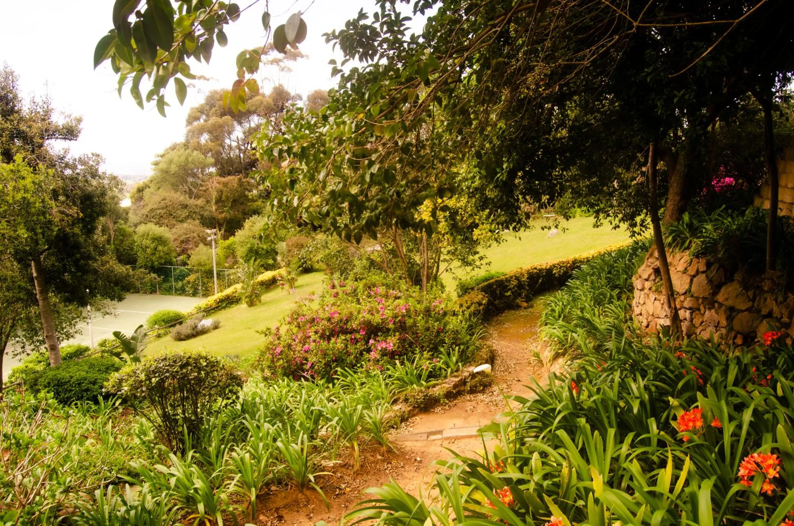 Spring in Ikhaya Safari Lodge