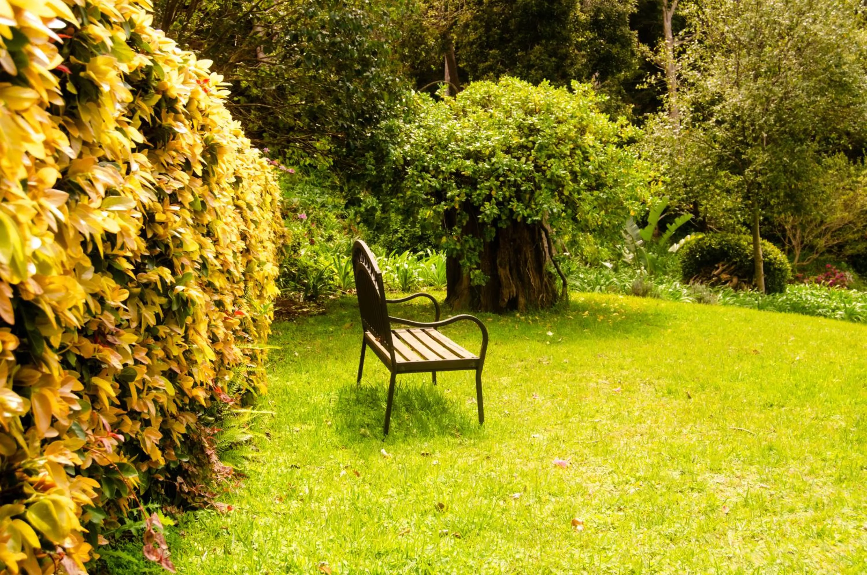 Natural landscape in Ikhaya Safari Lodge
