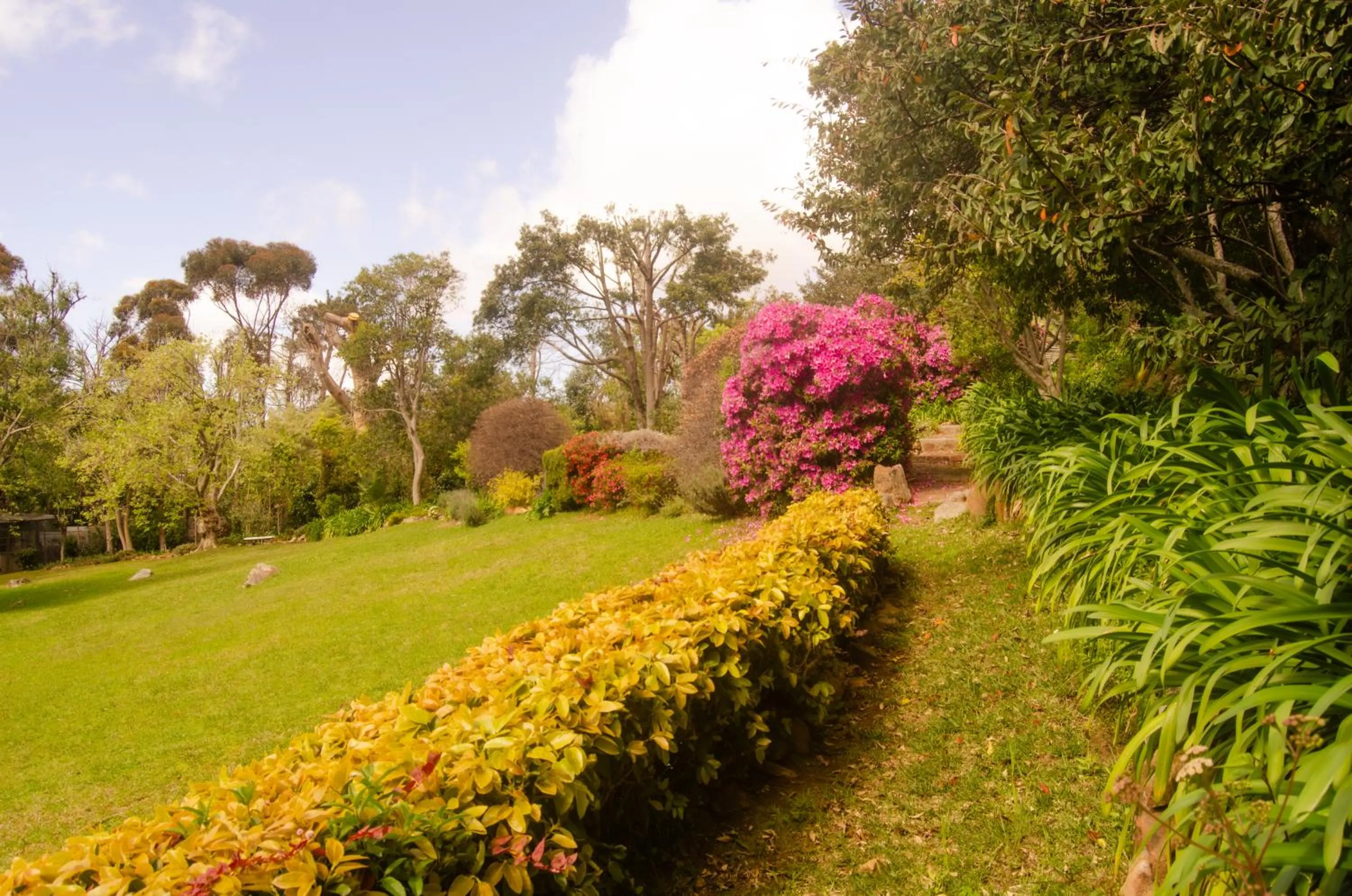 Natural landscape in Ikhaya Safari Lodge