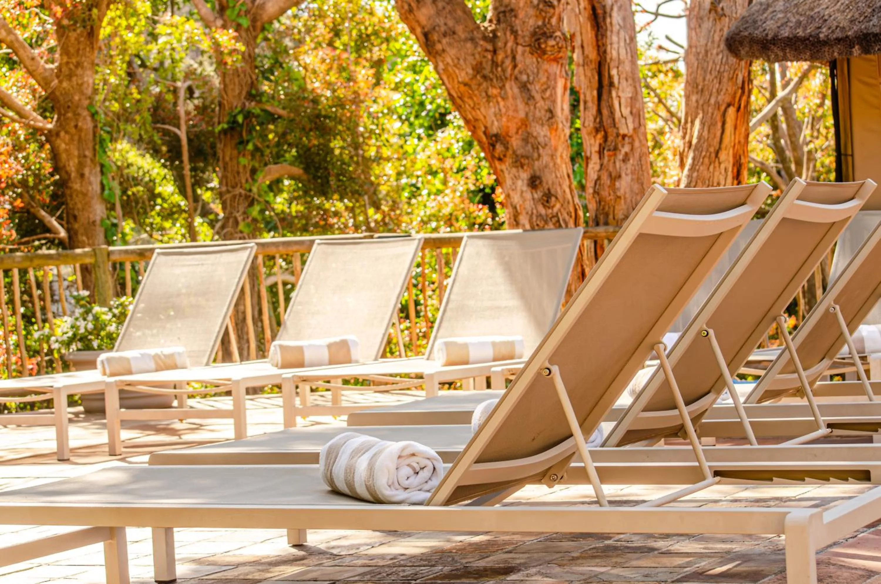 Garden in Ikhaya Safari Lodge