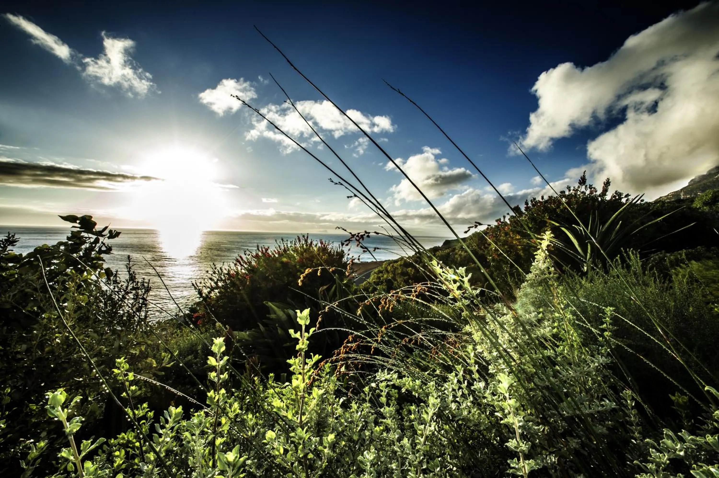 View (from property/room) in Rocklands Seaside Bed and Breakfast