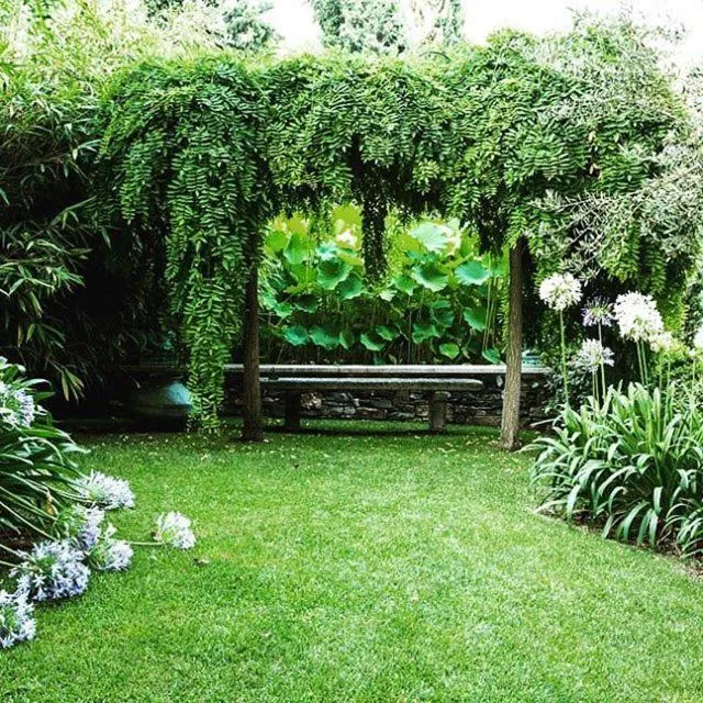 Garden in Villa della Pergola Relais et Chateaux