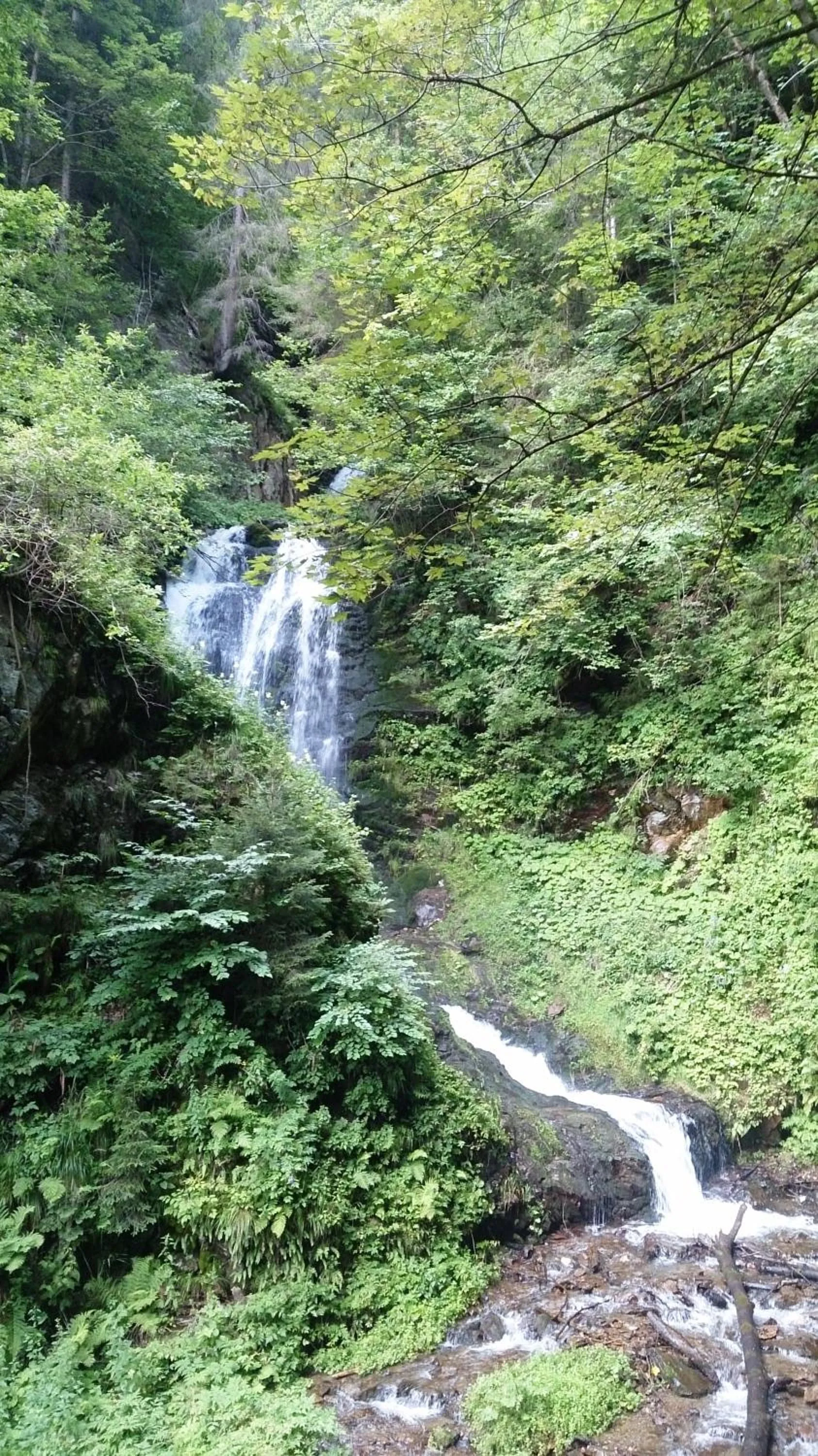 Natural landscape in Pension Julia