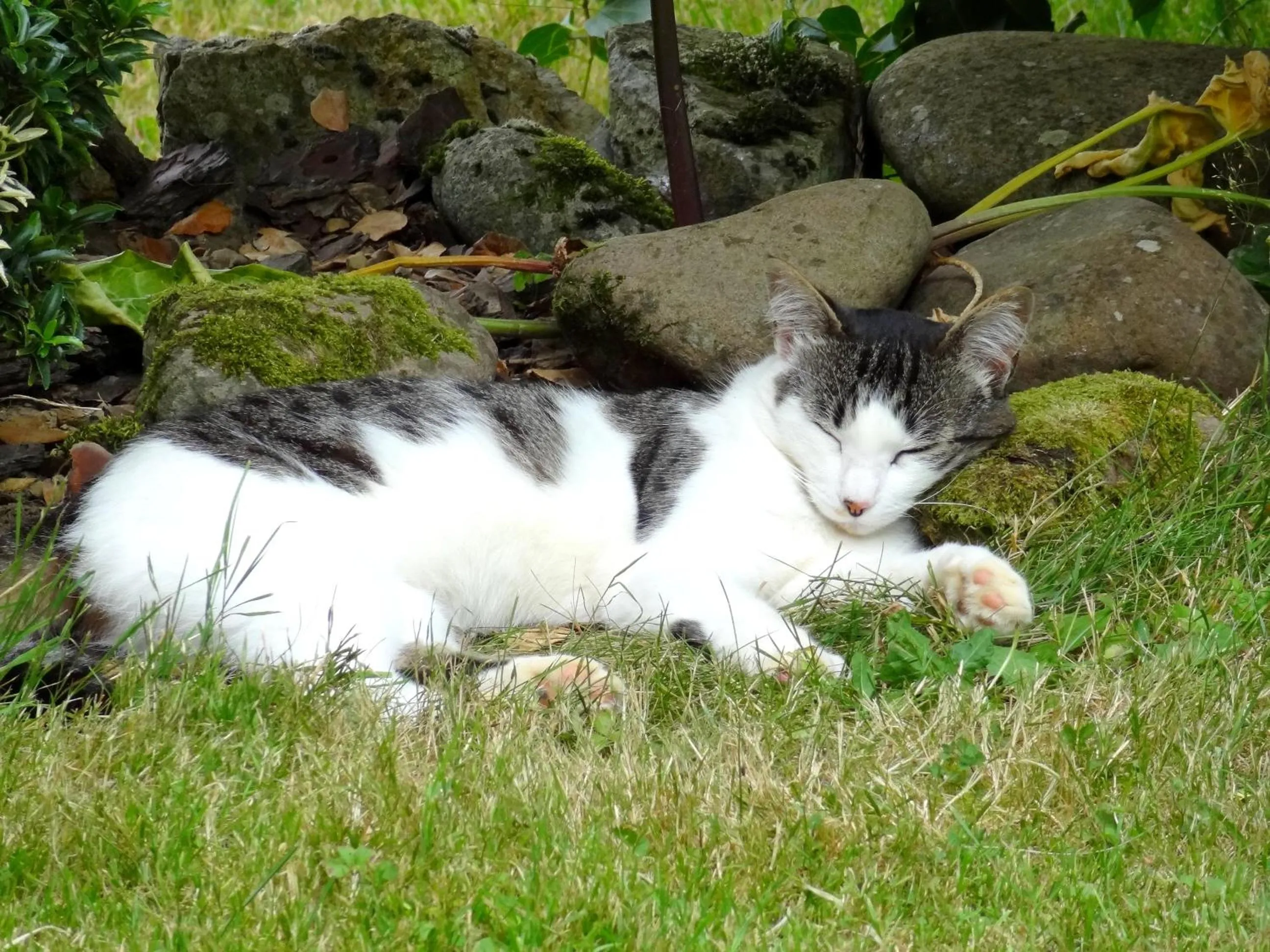 Chambres d'hôtes Idiartekoborda