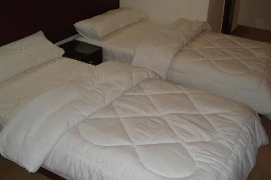 Bedroom, Bed in Transit Alexandria Hostel