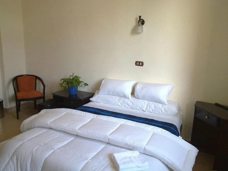 Bedroom, Bed in Transit Alexandria Hostel