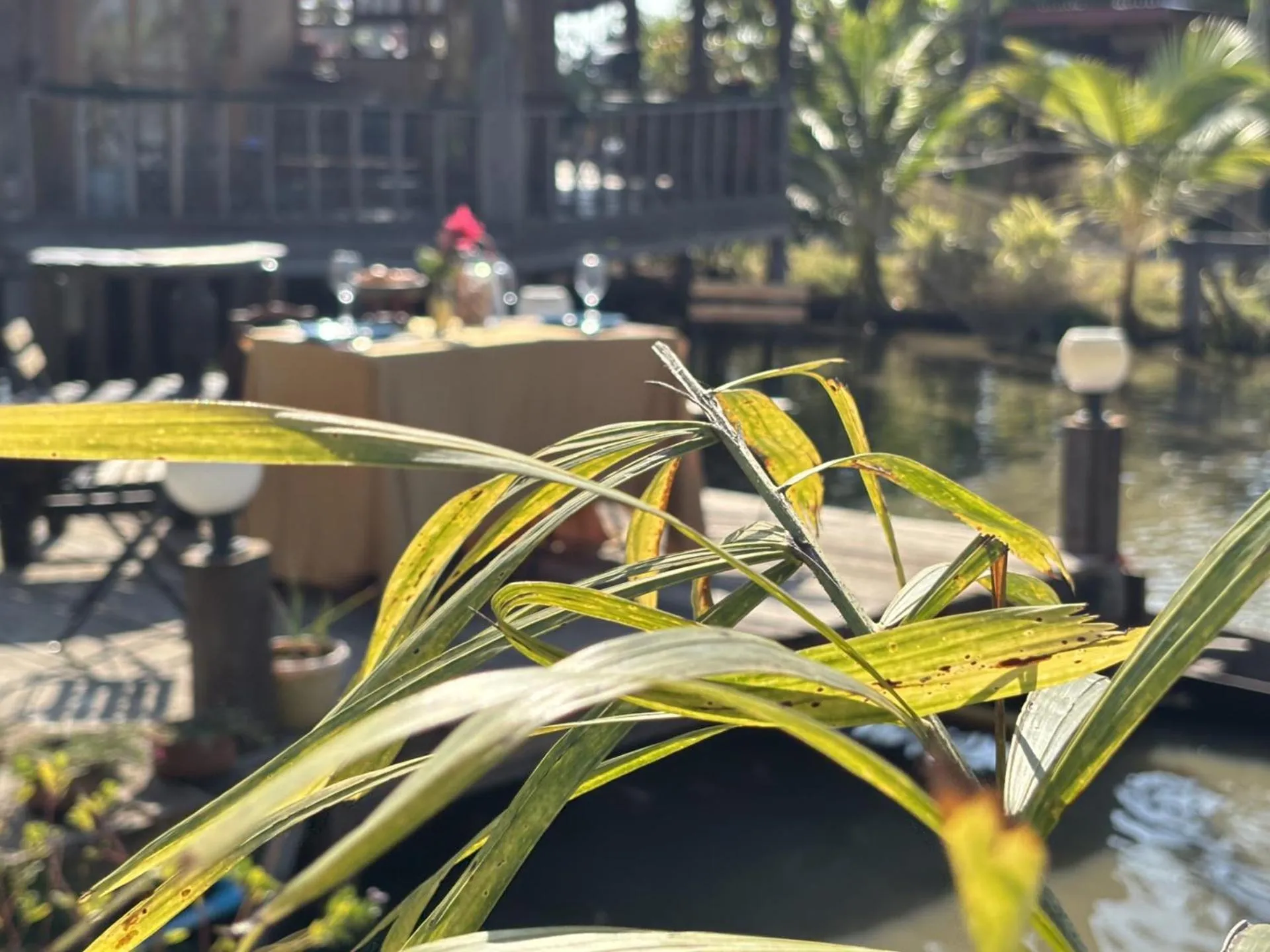 Garden in The Orchid Resort & Relax