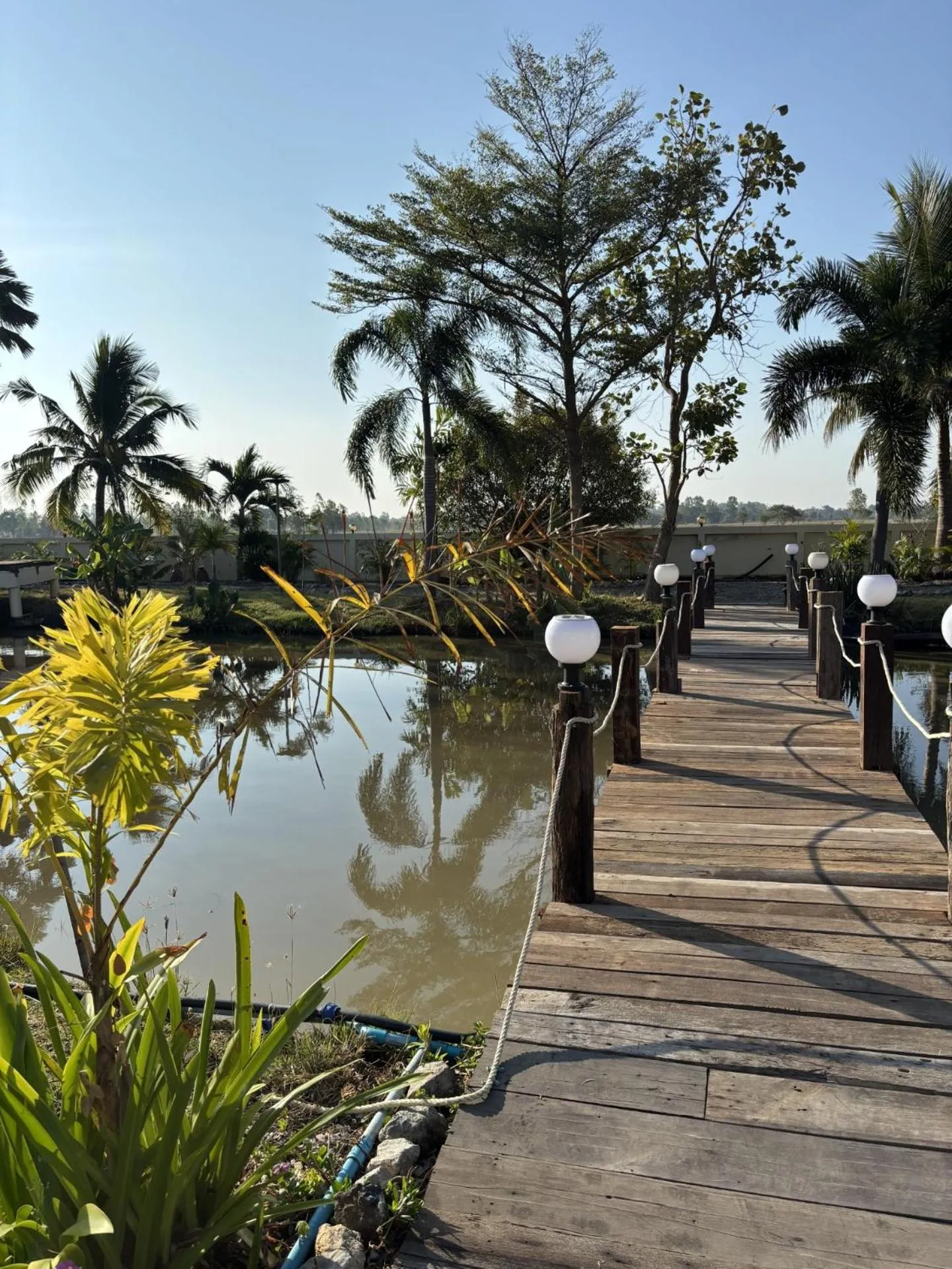 Lake view in The Orchid Resort & Relax