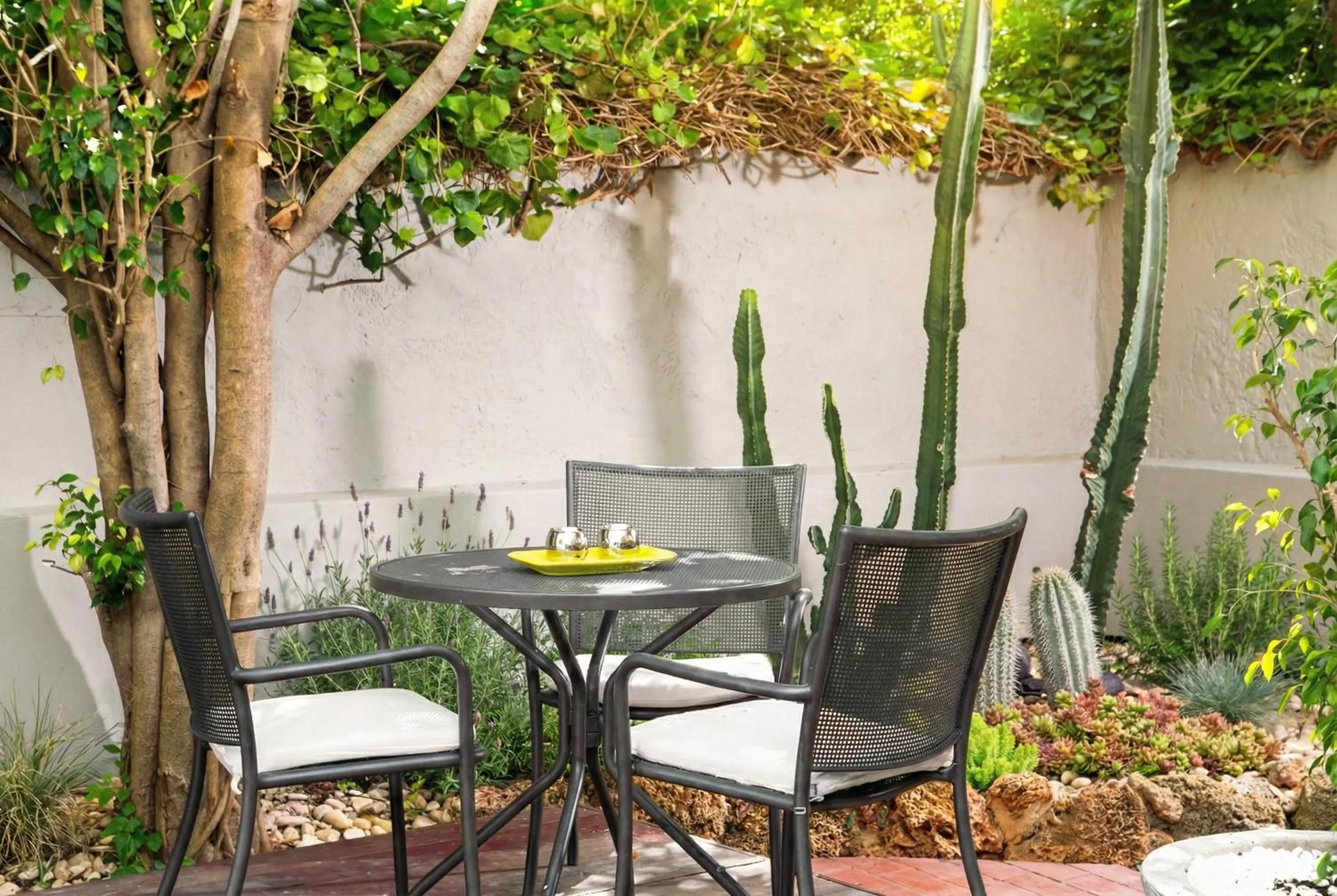 Restaurant/places to eat in AQUAMARE CITY and BEACH