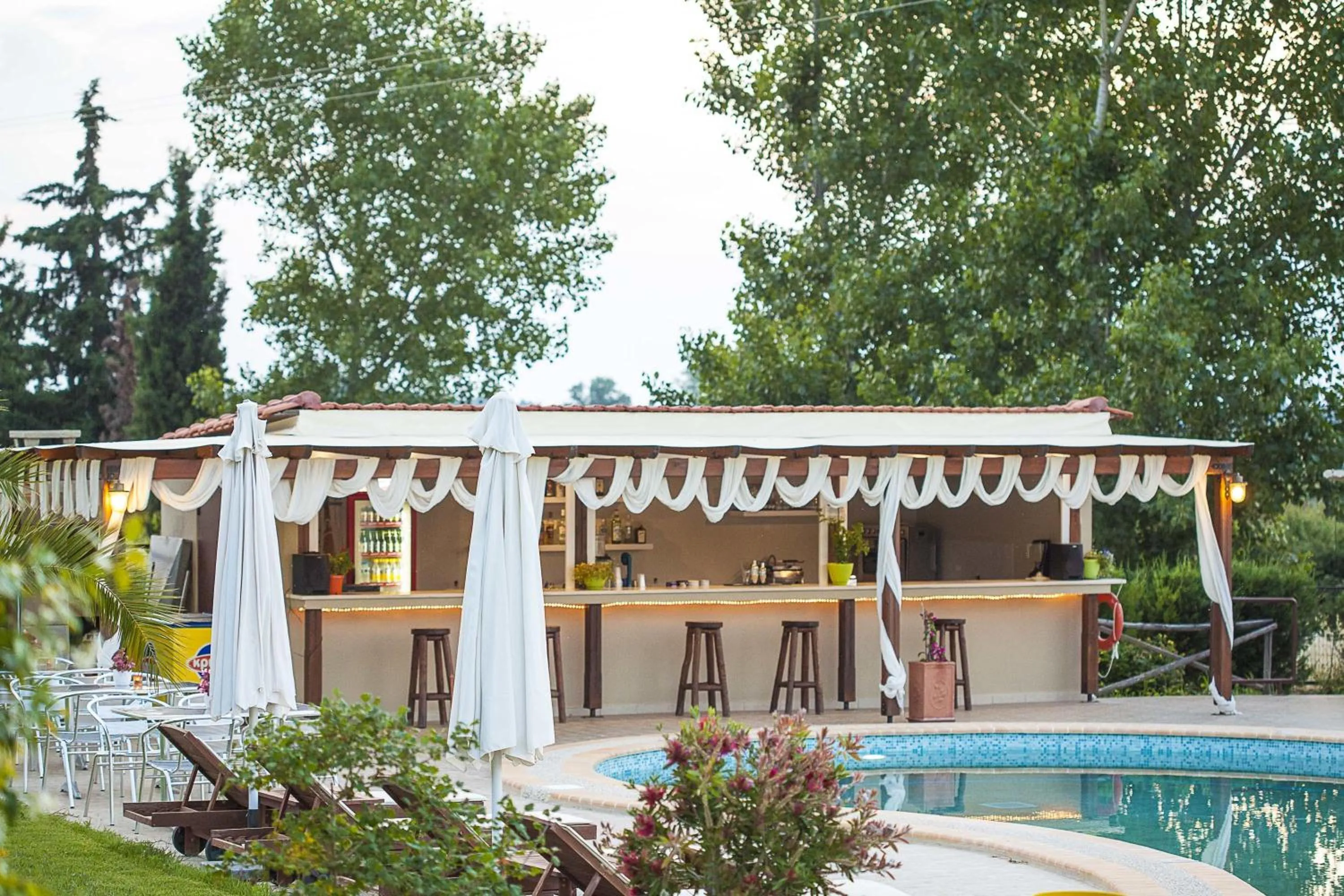 Lounge or bar in Sunny Hill