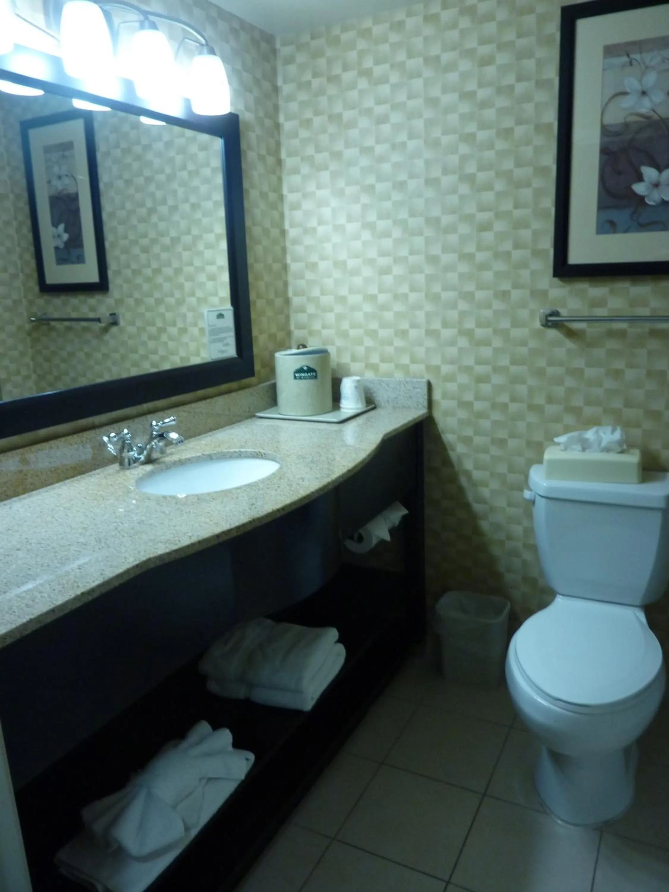 Bathroom in Wingate by Wyndham Erlanger - Florence - Cincinnati South