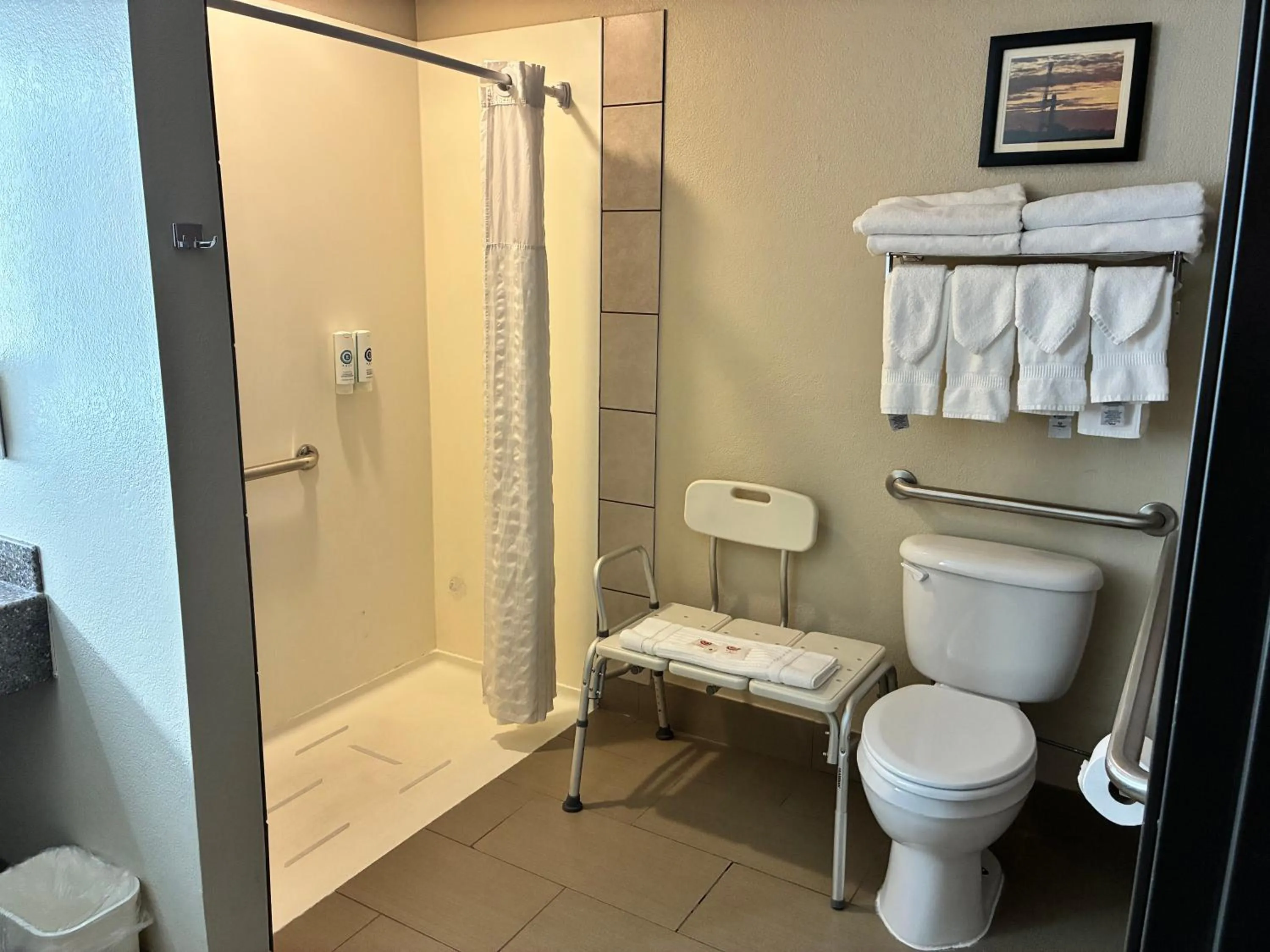 Shower in Comfort Inn & Suites Sterling