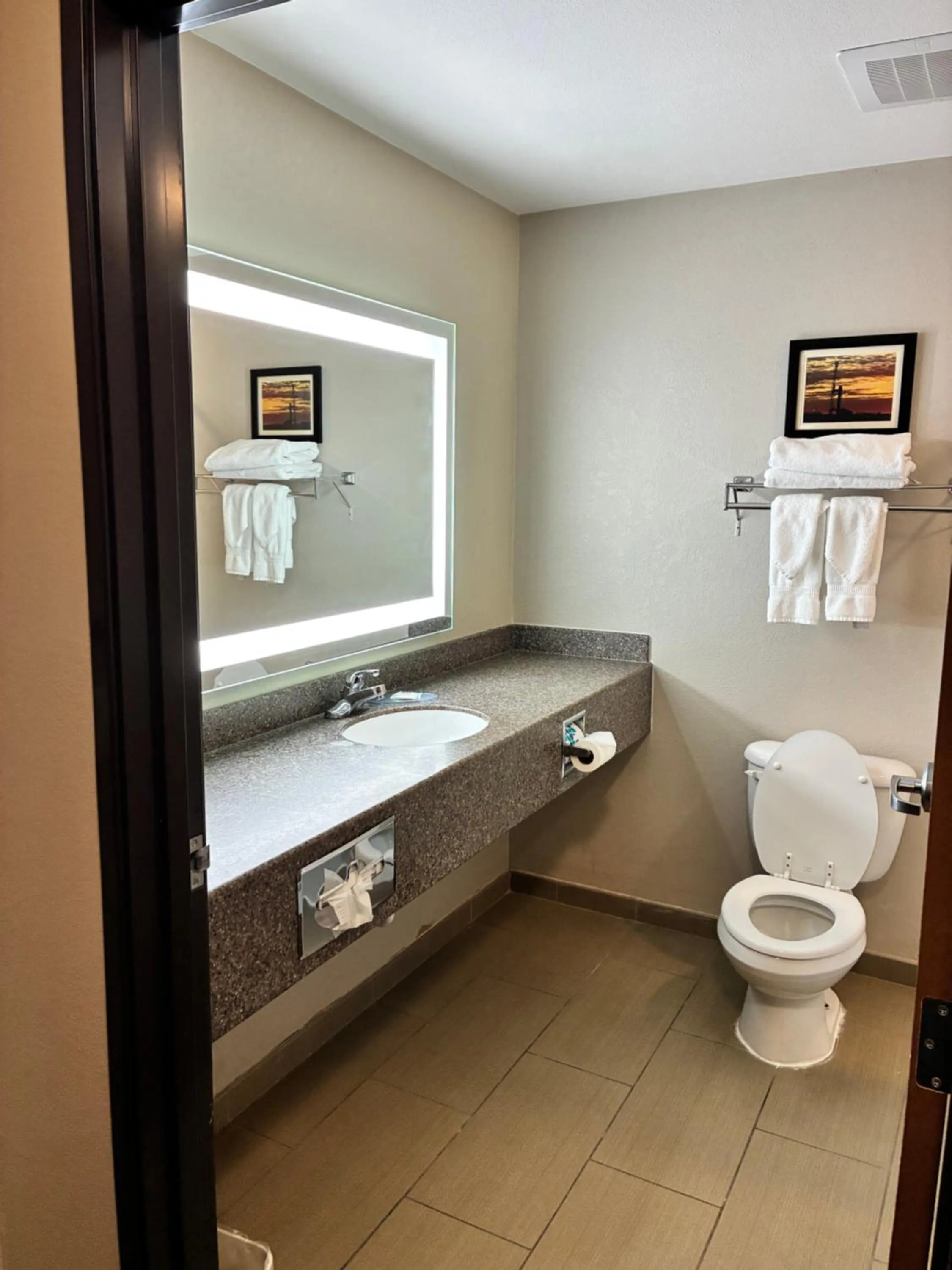 Toilet in Comfort Inn & Suites Sterling