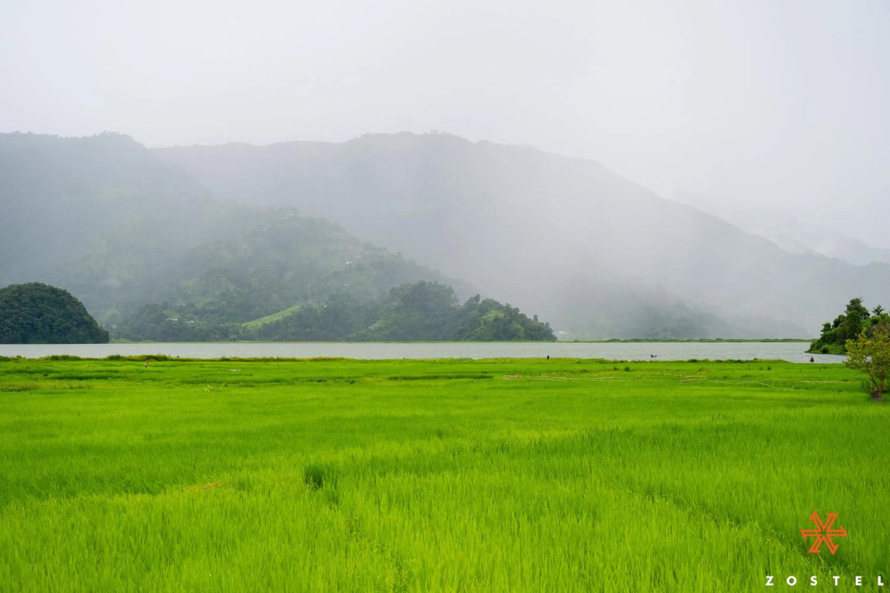 Natural landscape in Zostel Pokhara