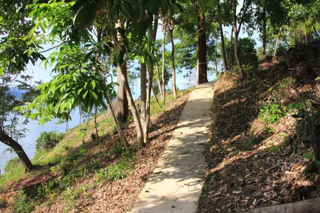 Natural landscape in Bigfin beach resort