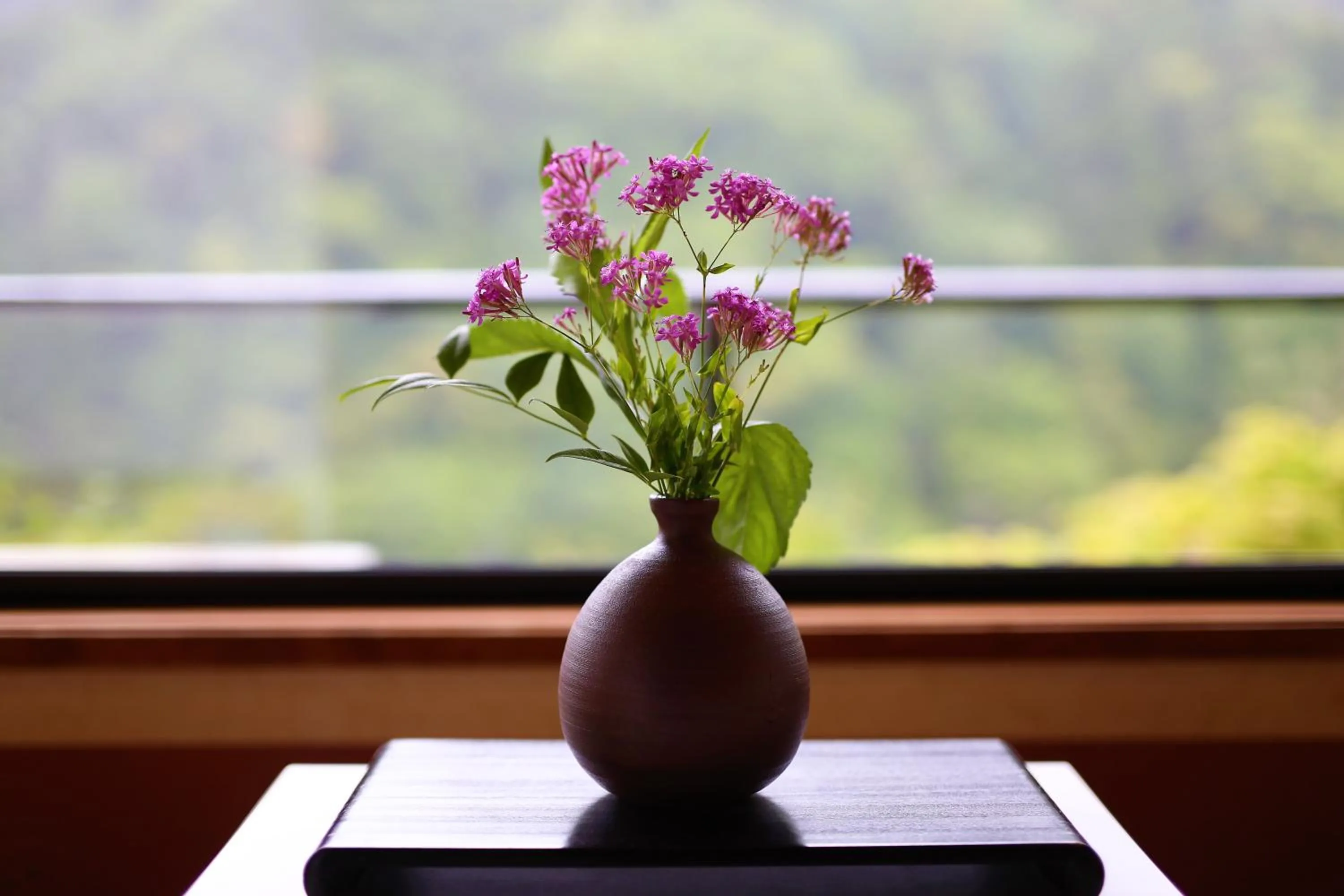 Photo of the whole room in Momijiya Honkan Takaosansou