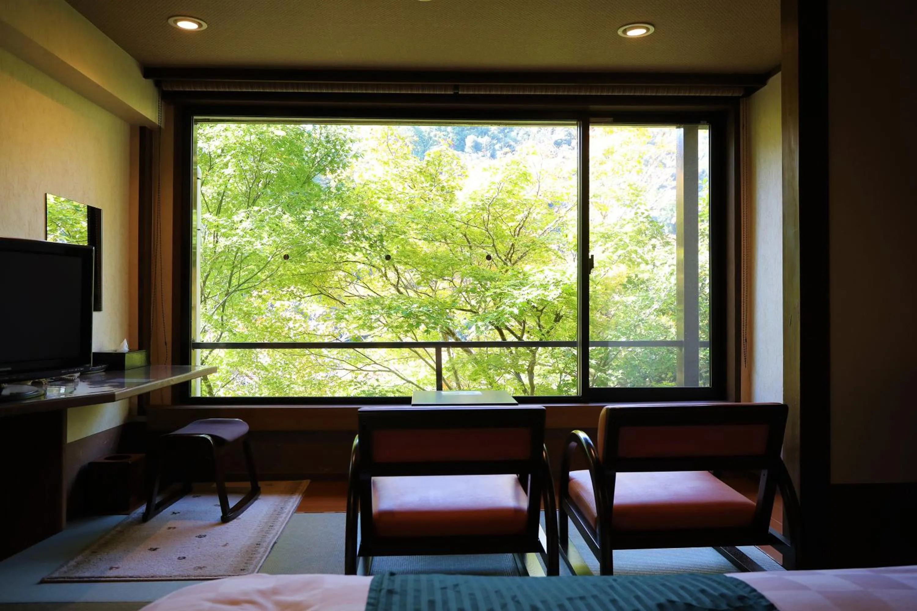 View (from property/room) in Momijiya Honkan Takaosansou