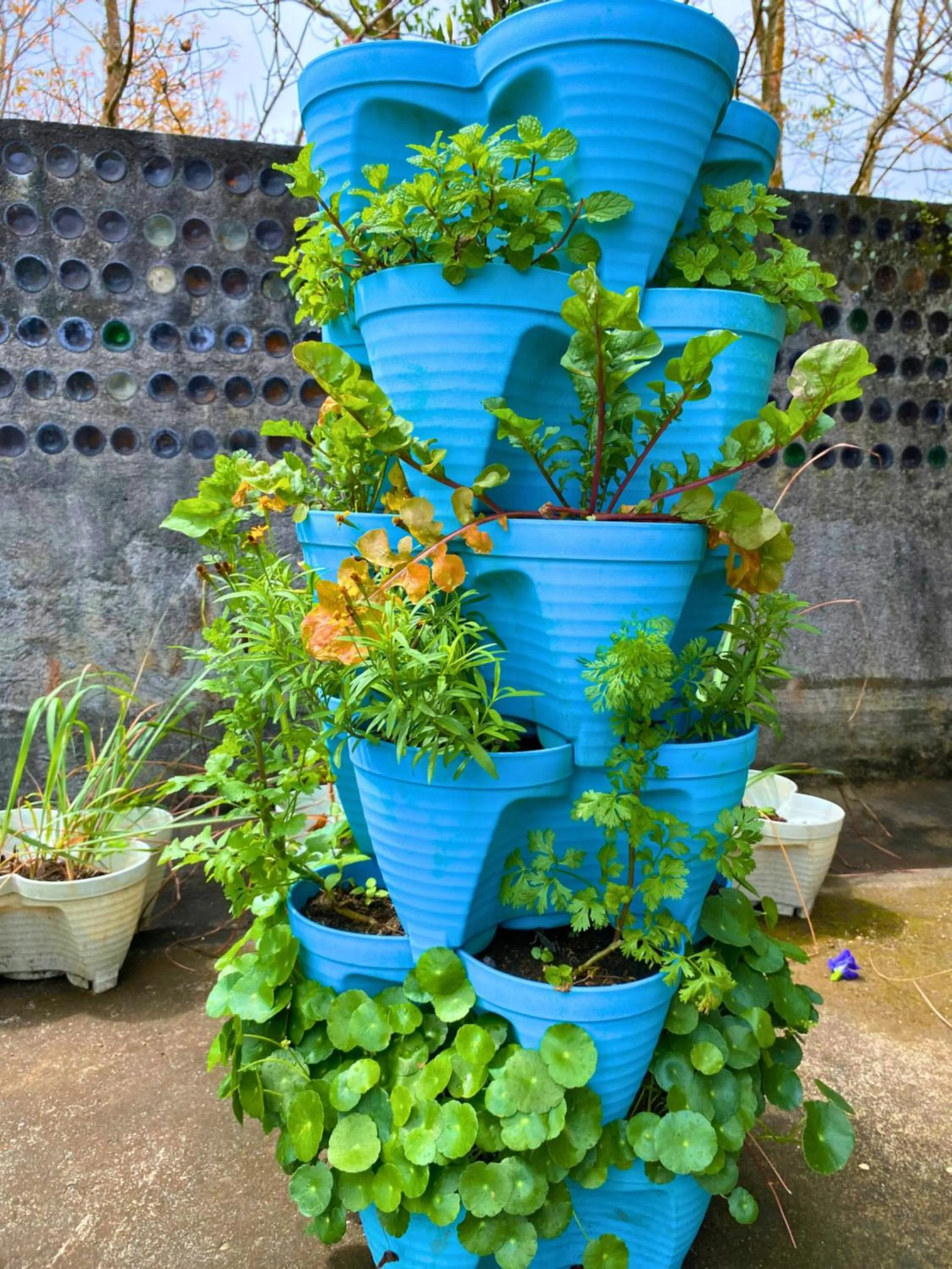 Garden in Containers by Eco Hotels