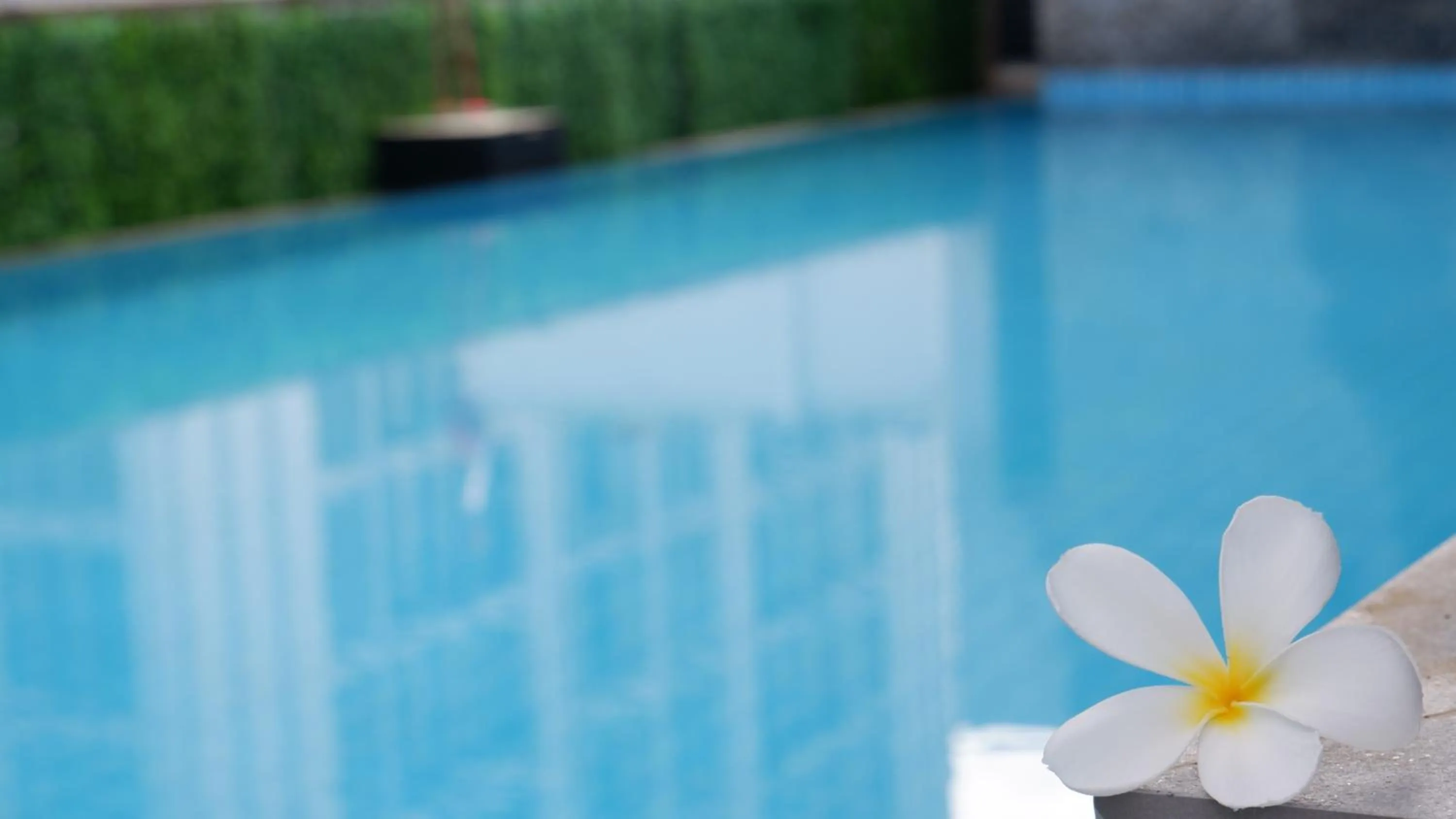 Swimming pool in 18 Residence