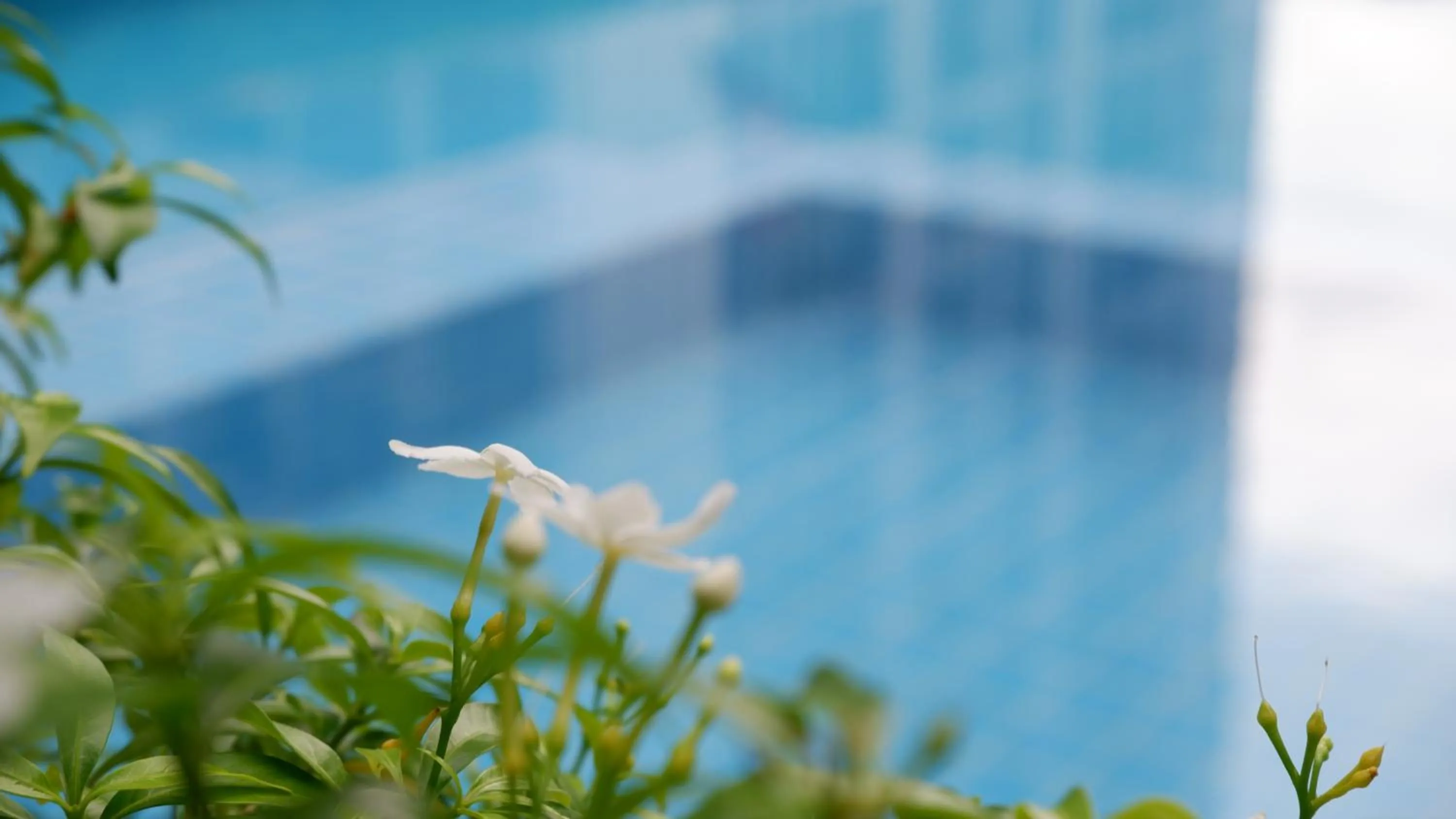 Swimming pool in 18 Residence
