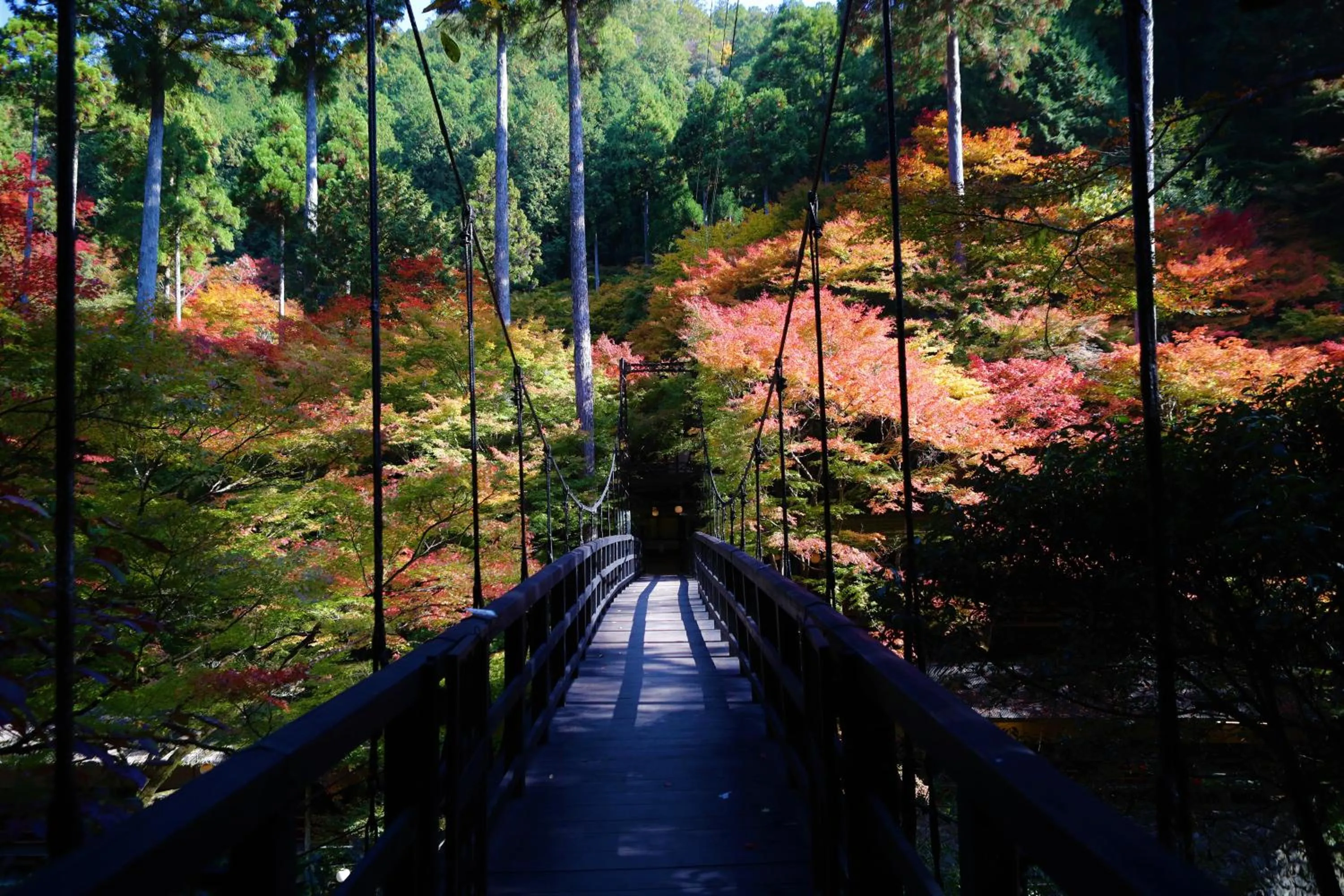 Property building in Momijiya Annex