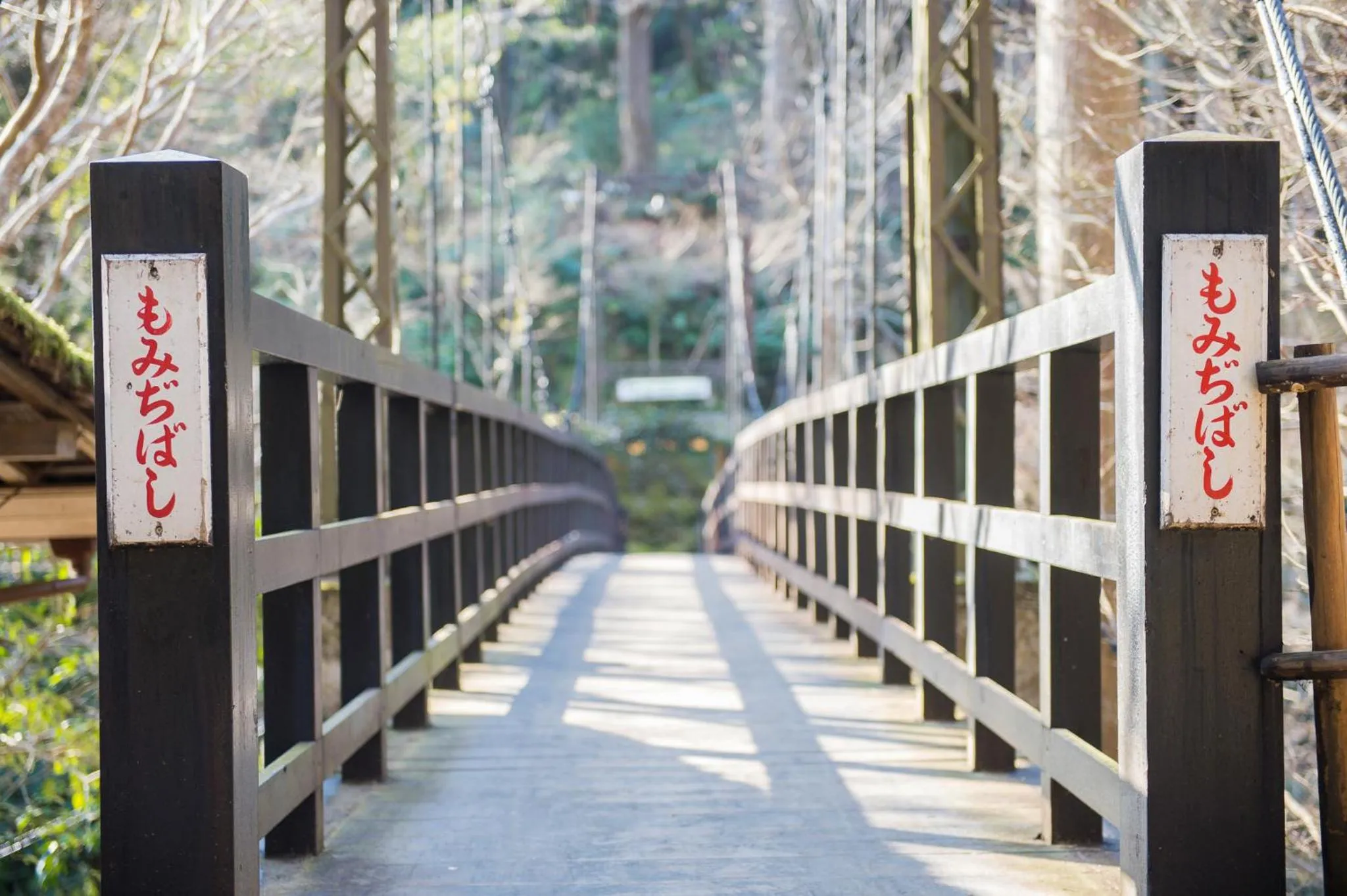 Property building in Momijiya Annex