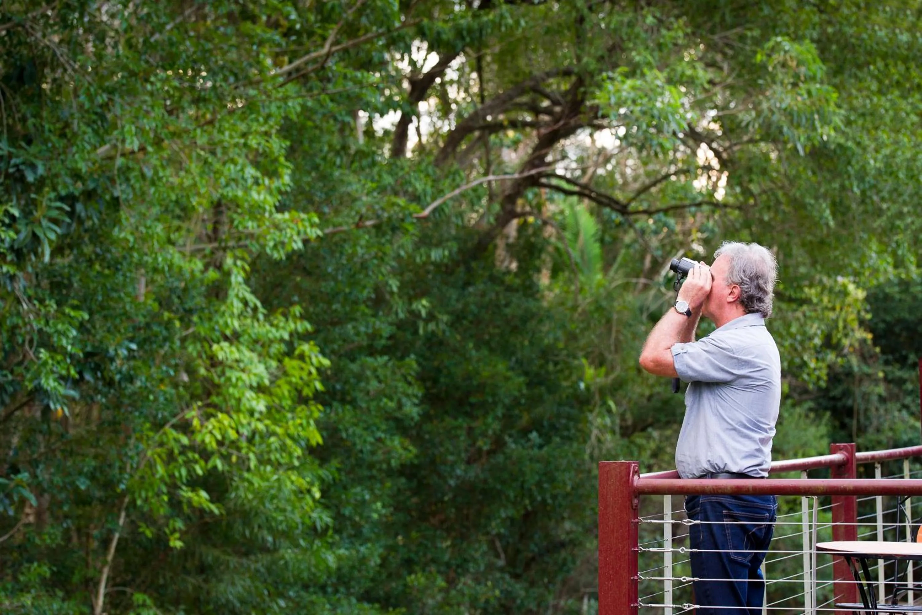 View (from property/room) in Glass House Mountains Ecolodge