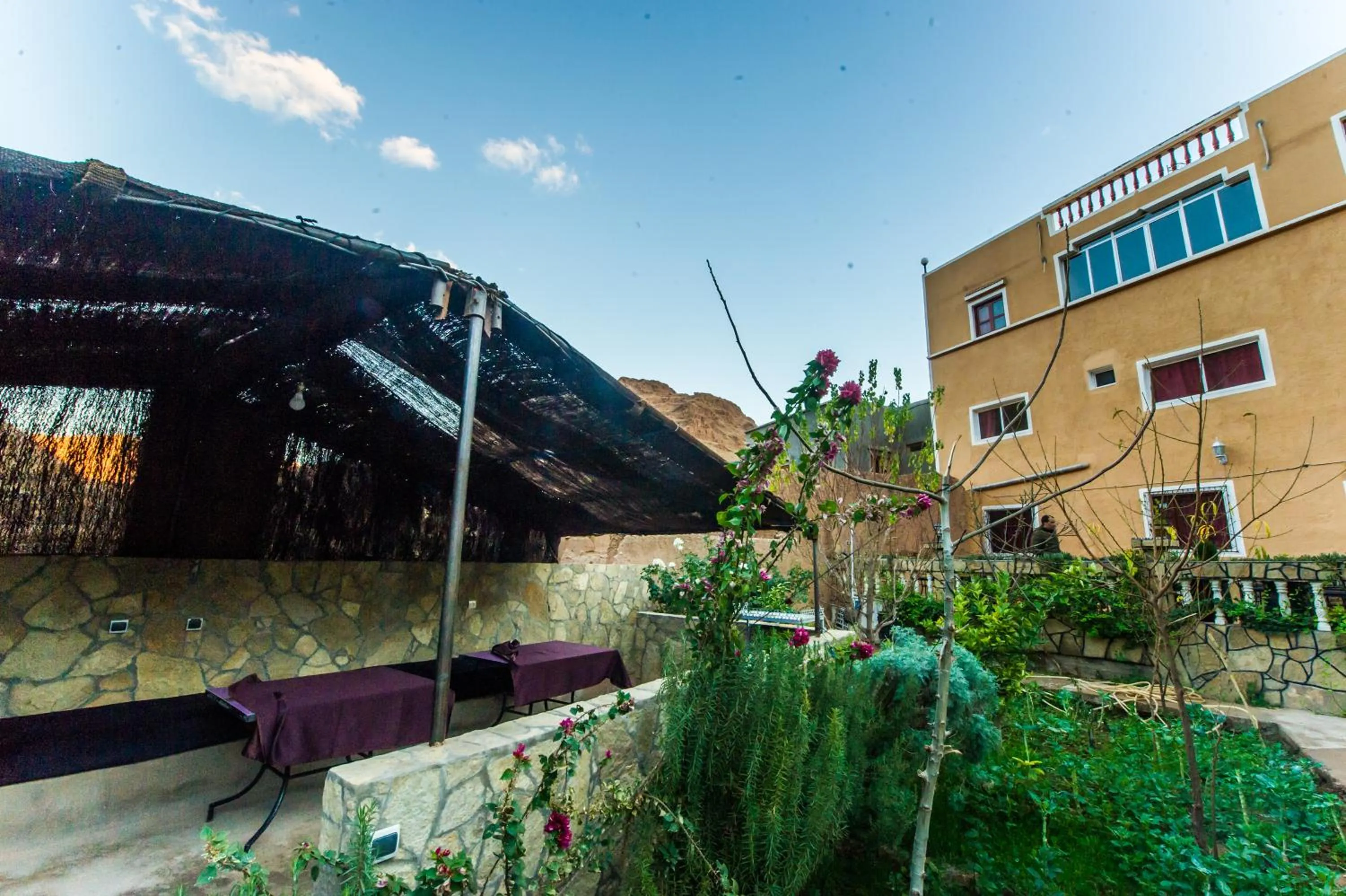 Les Jardins De Todgha gorges de todra tinghir