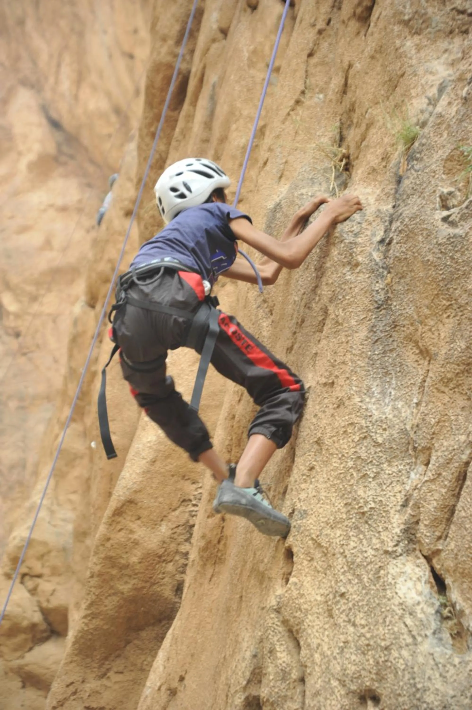 Day in Les Jardins De Todgha gorges de todra tinghir