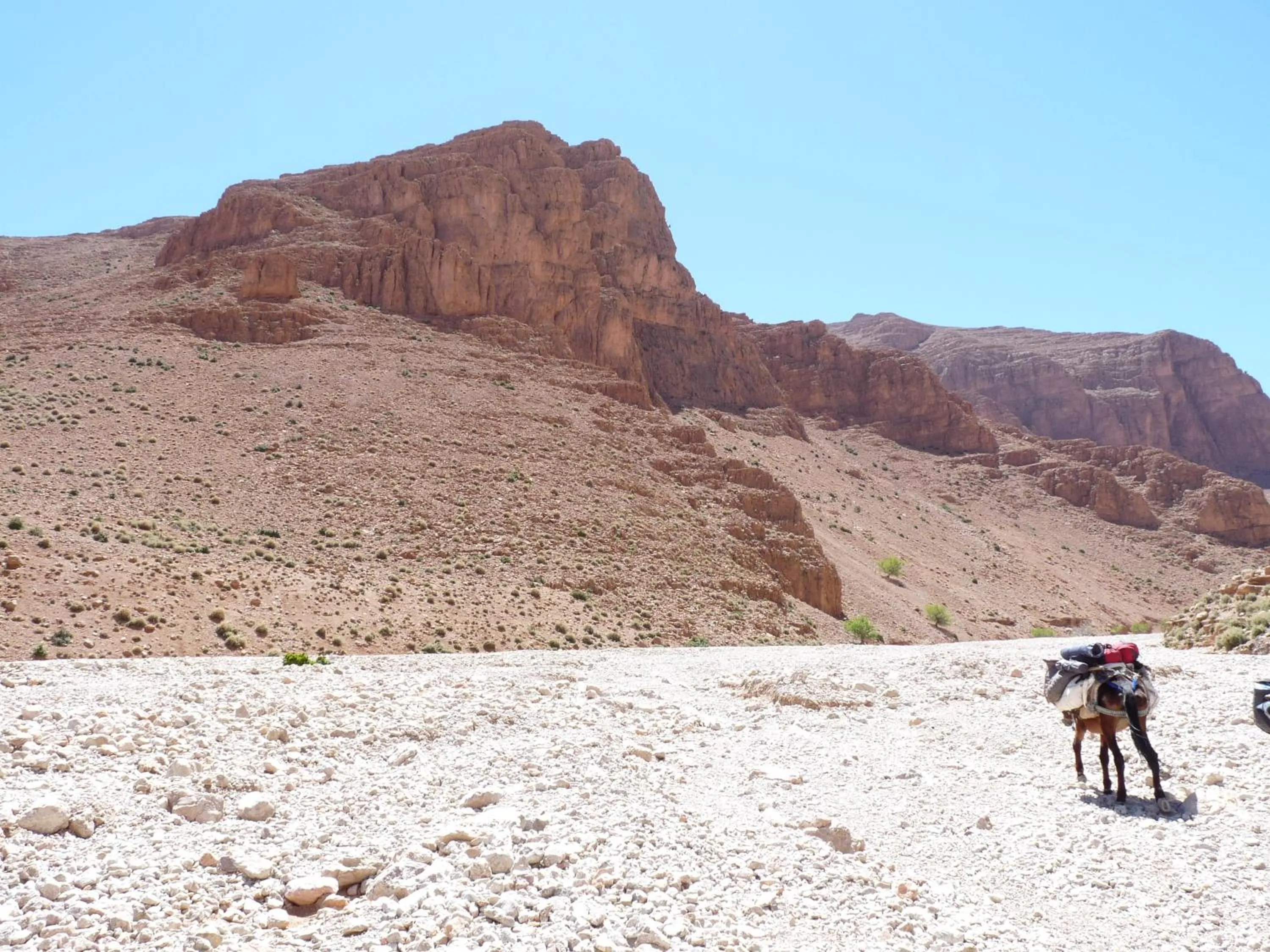 Les Jardins De Todgha gorges de todra tinghir