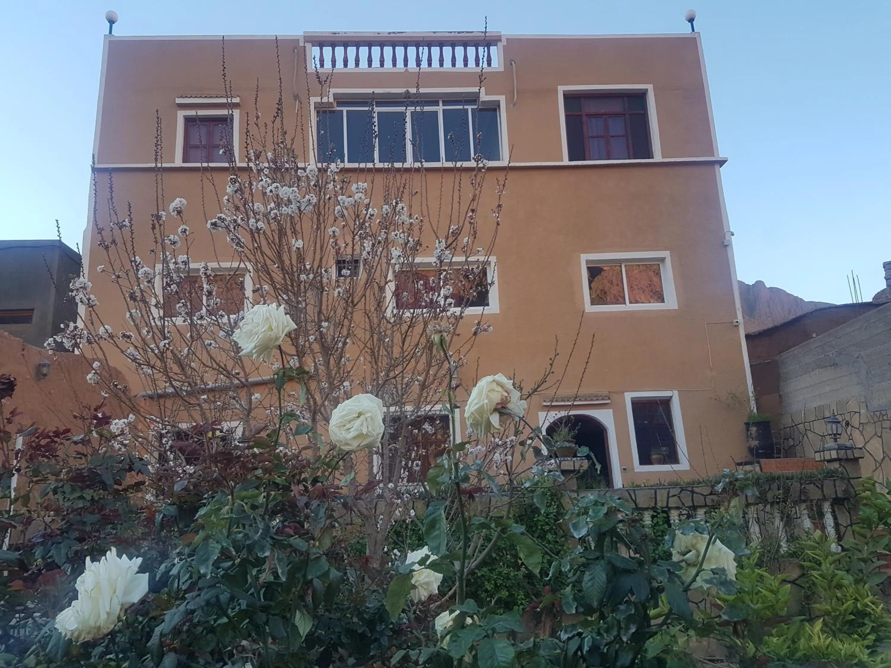 Les Jardins De Todgha gorges de todra tinghir