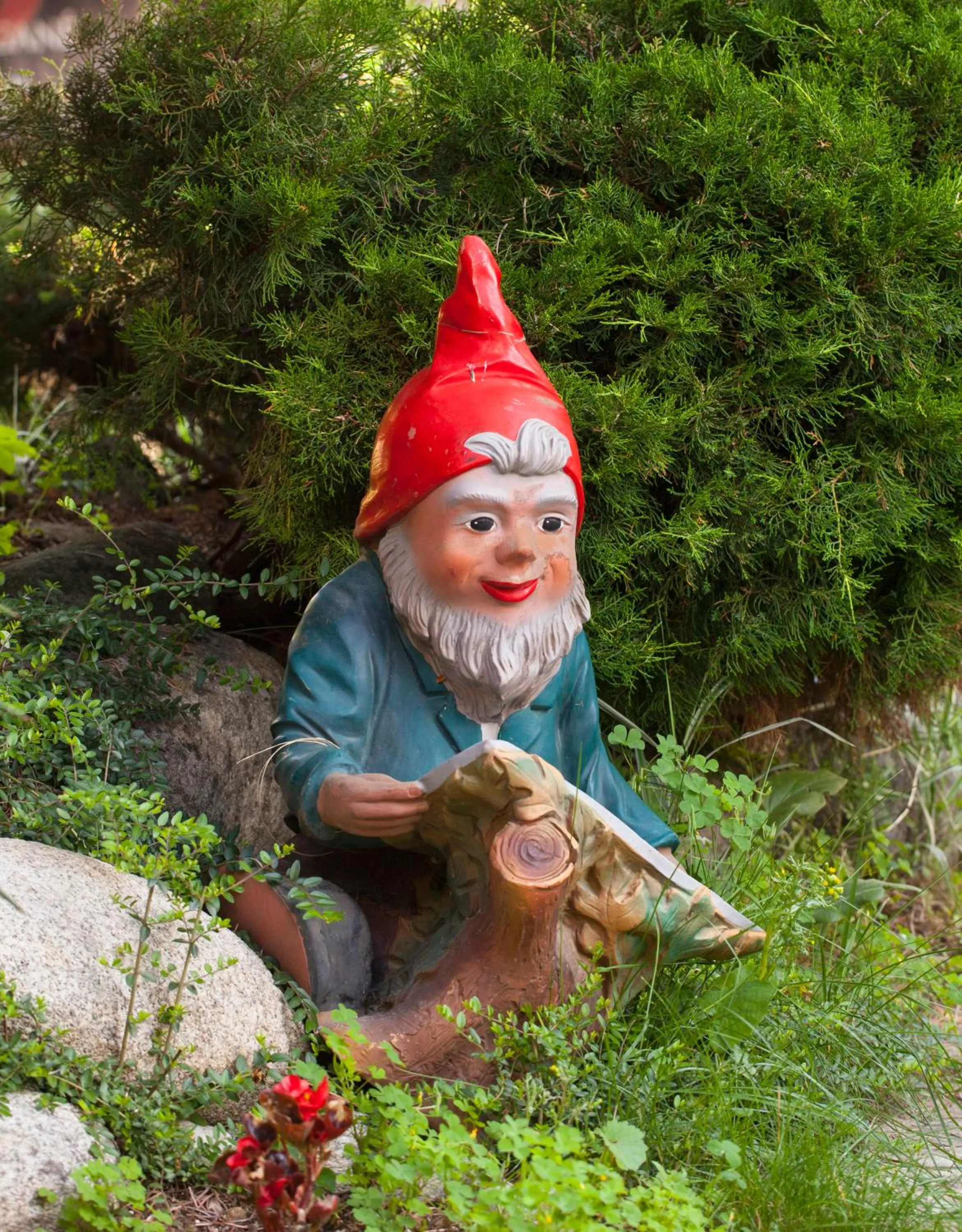 Nearby landmark in Hotel Tanne