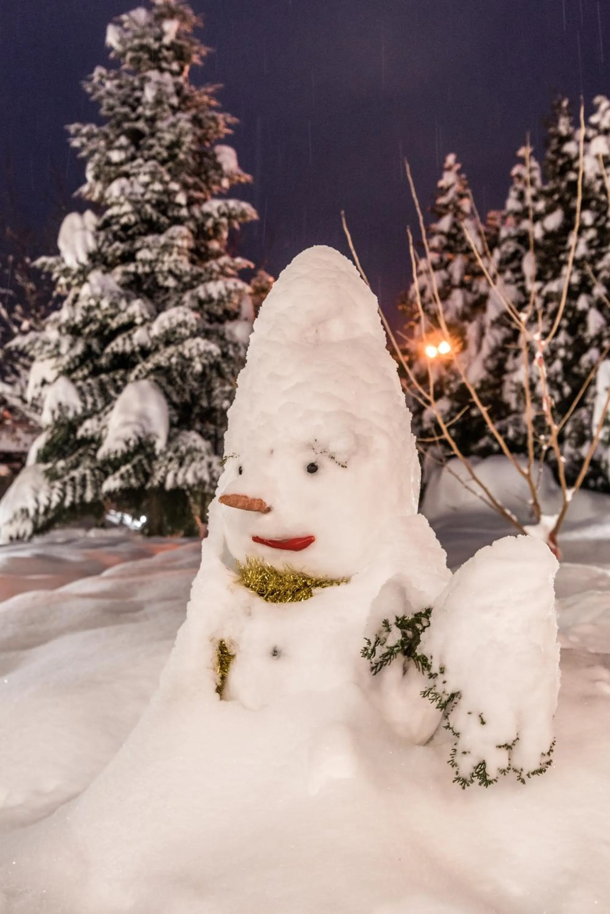 Property building in Hotel Tanne