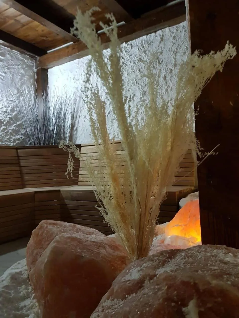 Winter in Hotel Tanne