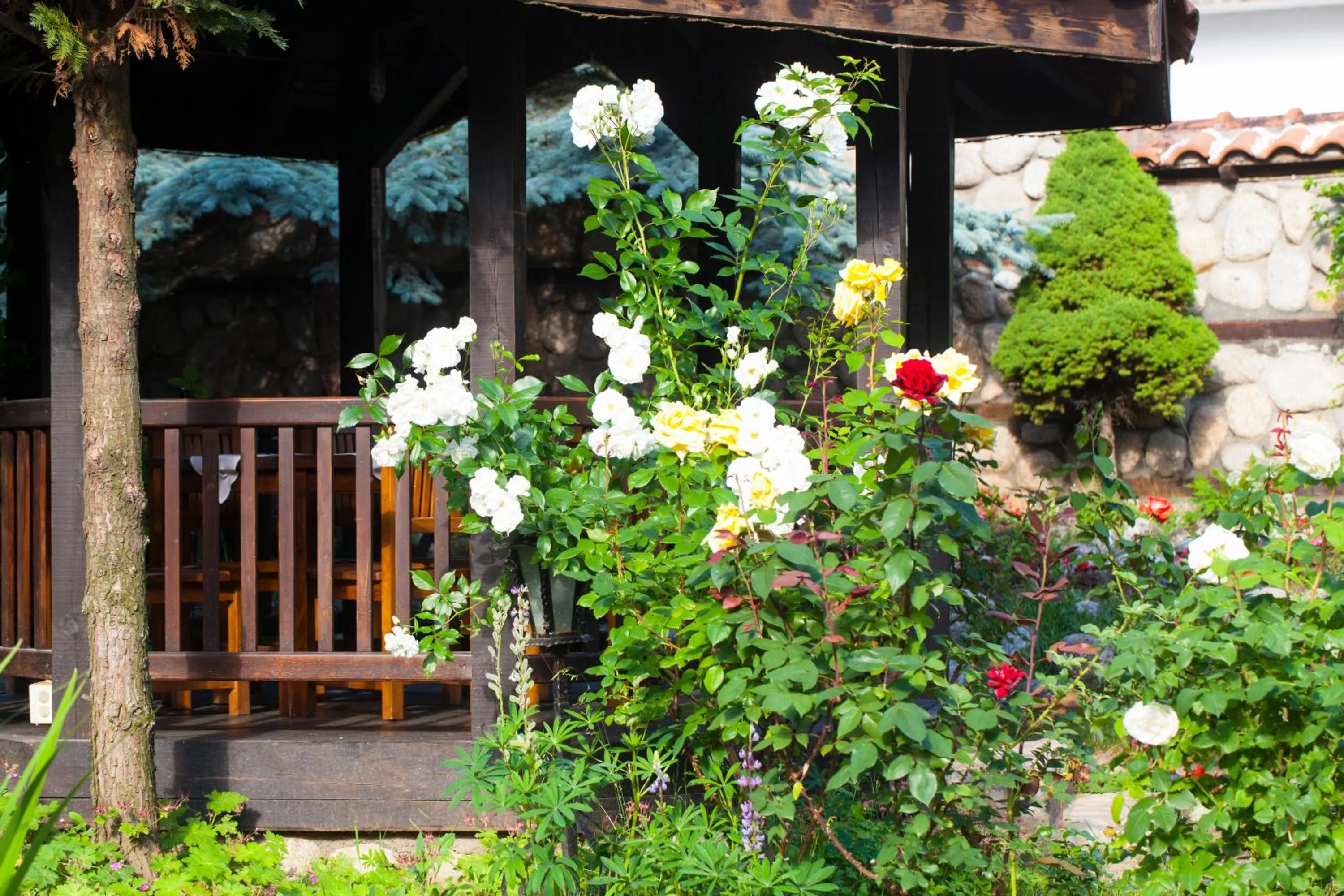 Patio in Hotel Tanne