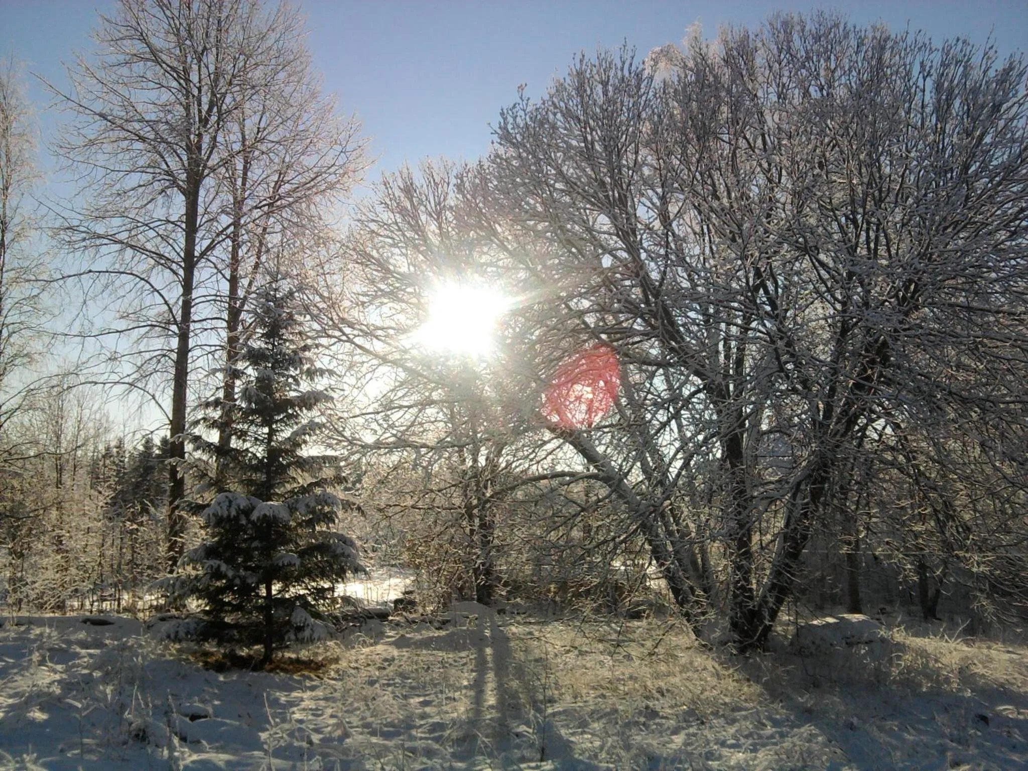 Garpenbergs B&B, BnB