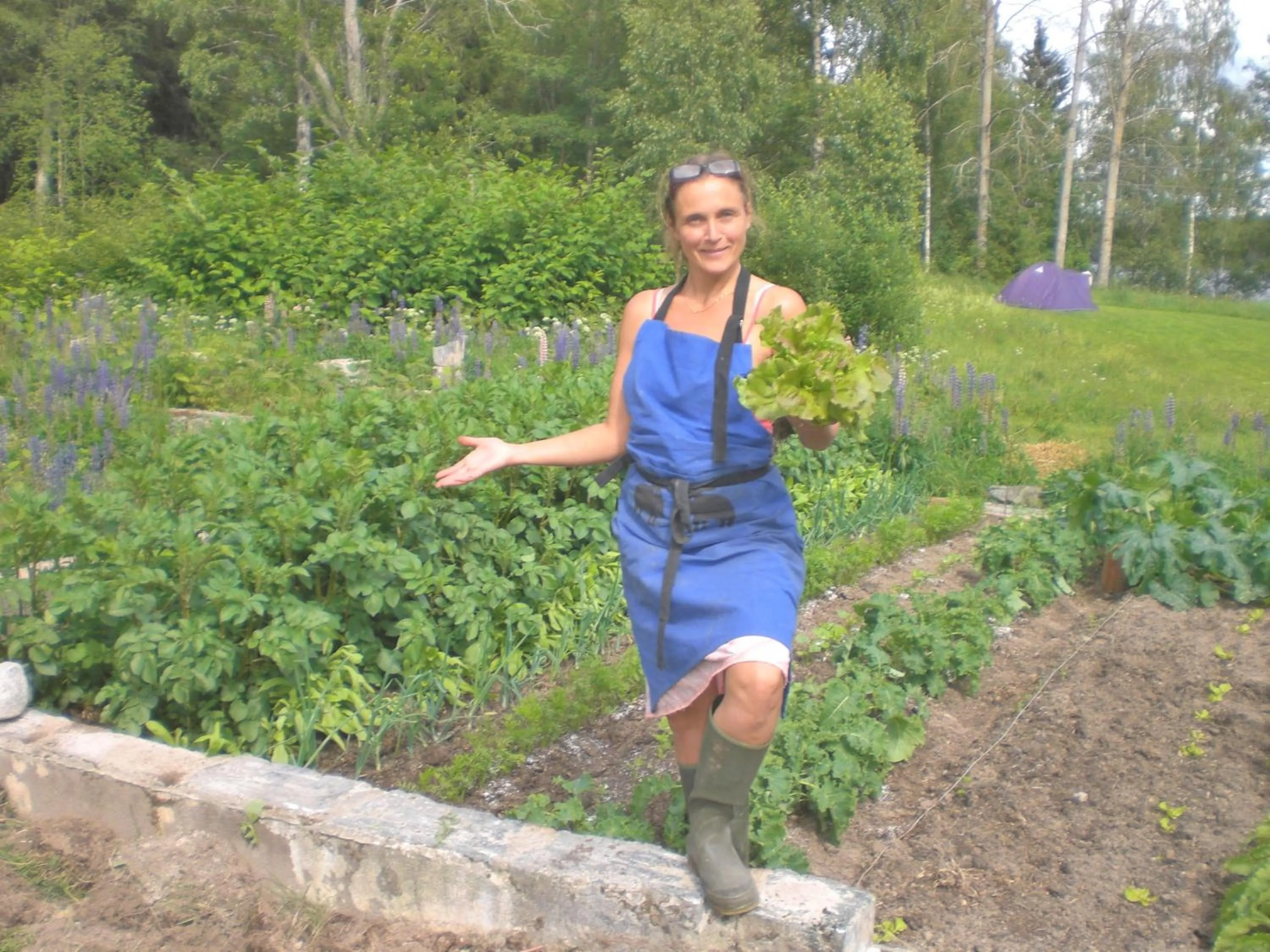 Property building in Garpenbergs B&B, BnB