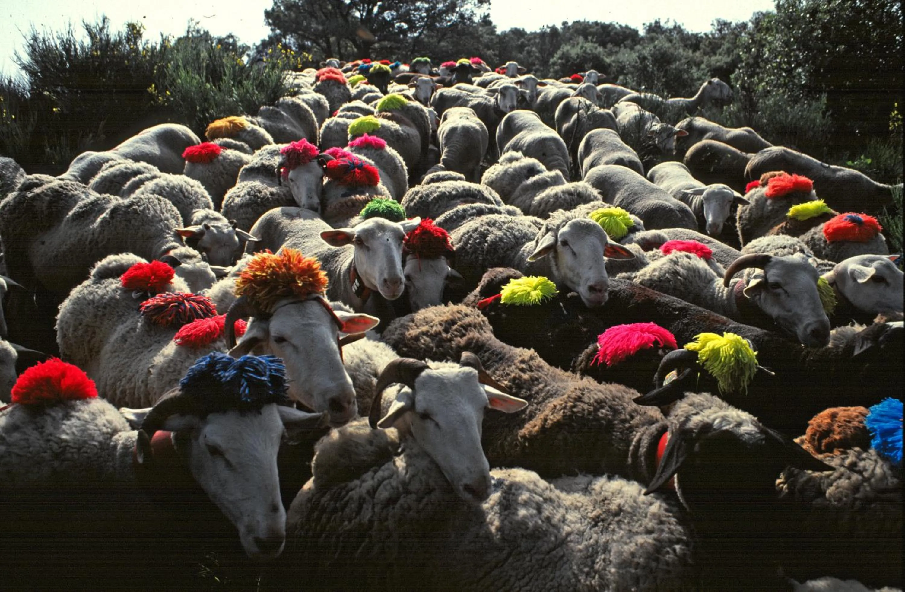 Logis Hotel Restaurant des Gorges du Tarn