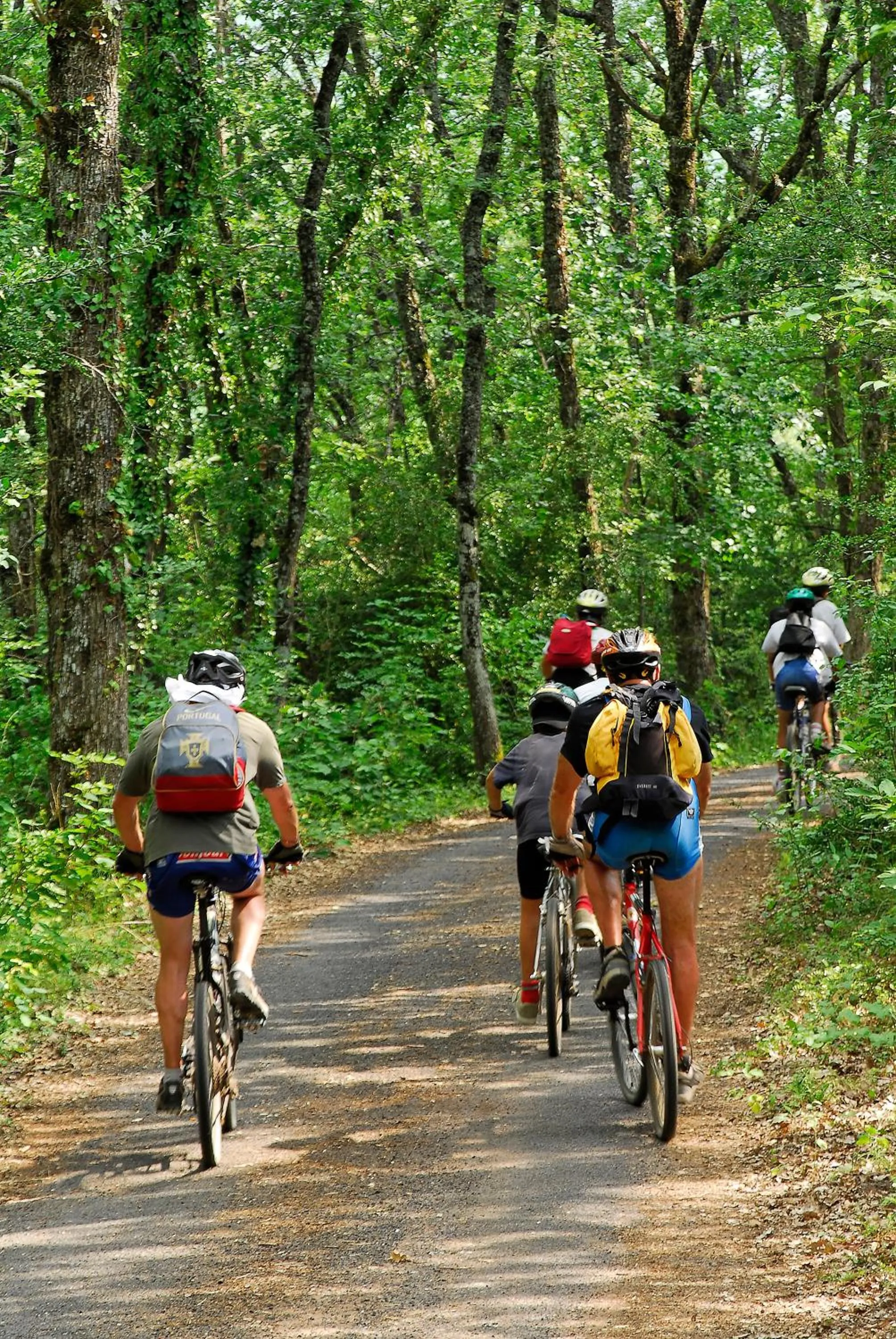 Logis Hotel Restaurant des Gorges du Tarn