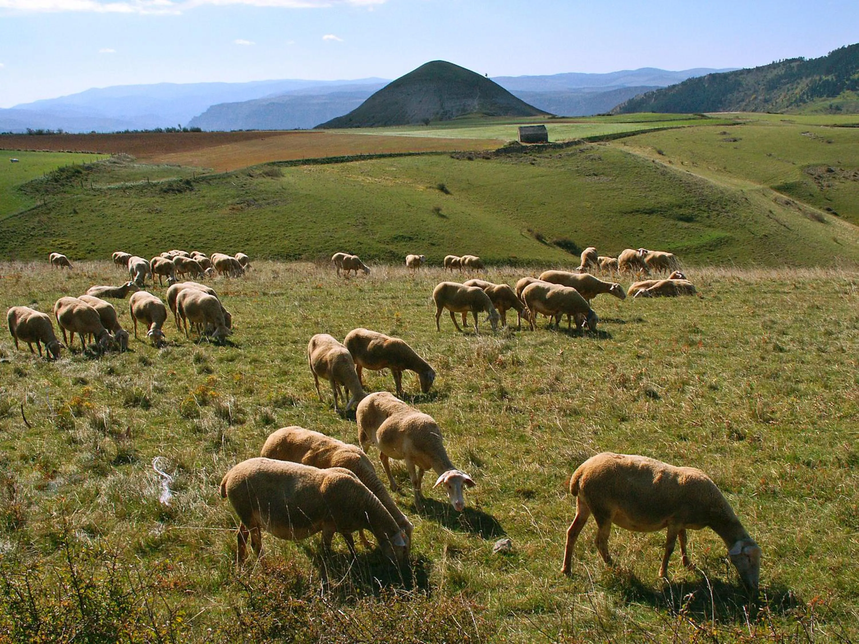 Logis Hotel Restaurant des Gorges du Tarn