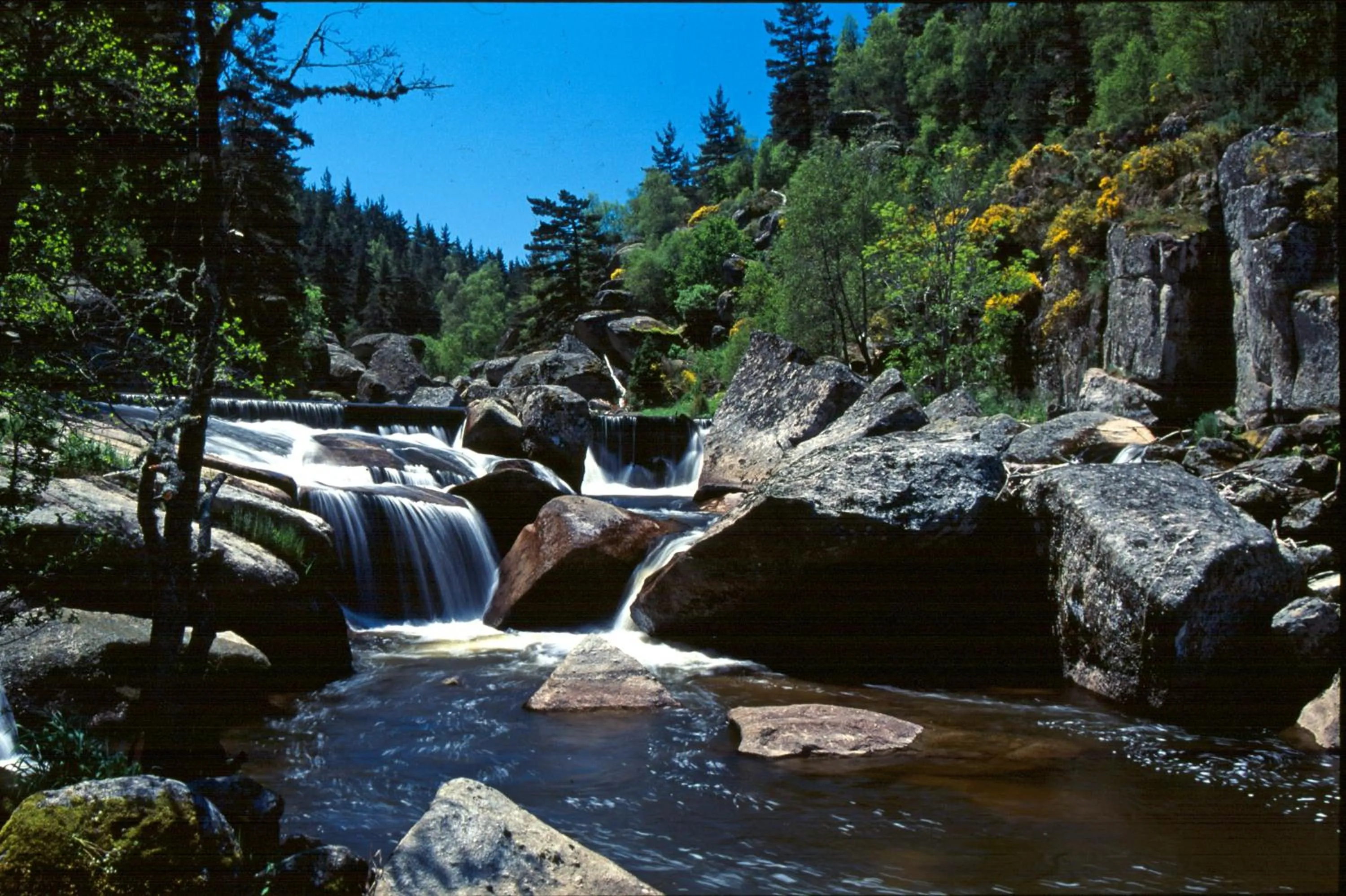 Logis Hotel Restaurant des Gorges du Tarn