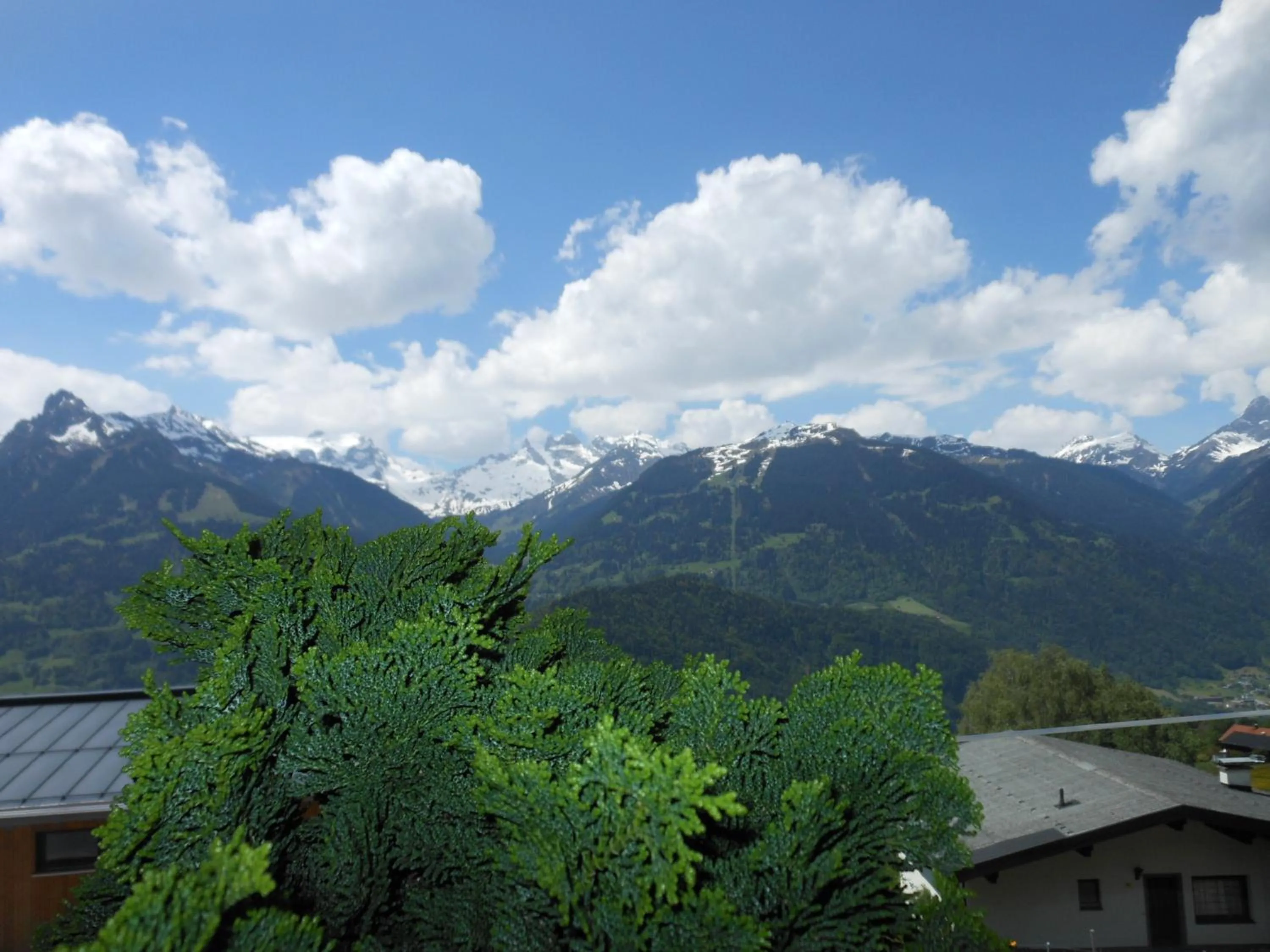 Natural landscape in Hotel Bergerhof