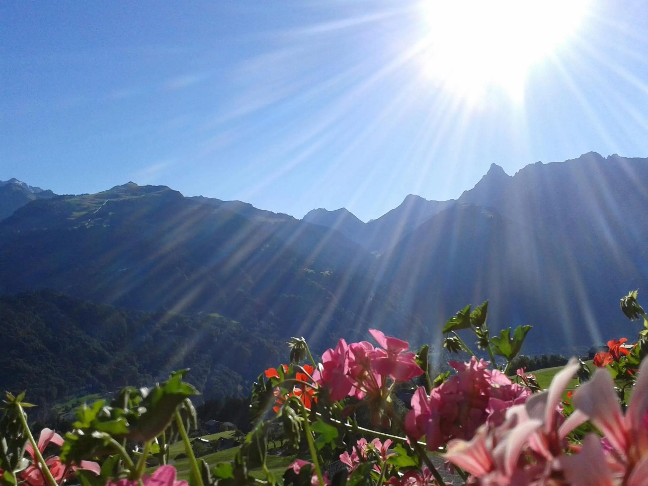 Natural landscape in Hotel Bergerhof